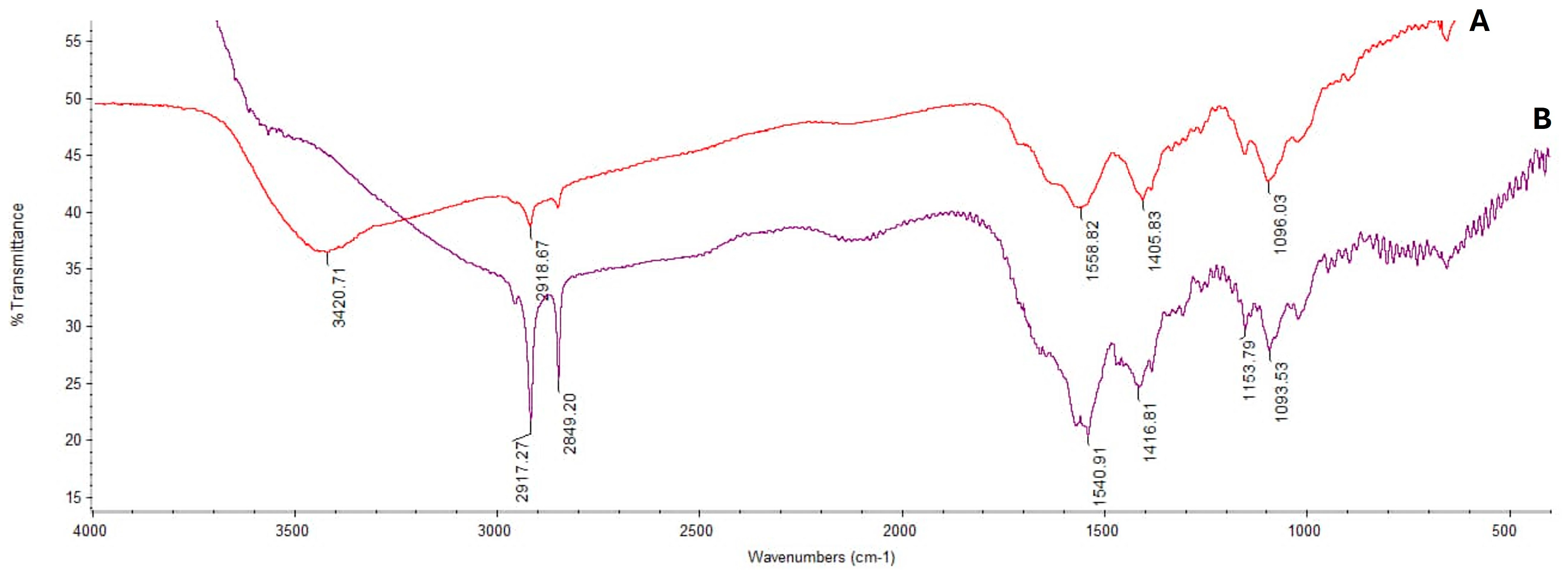 Antioxidants 13 00428 g003