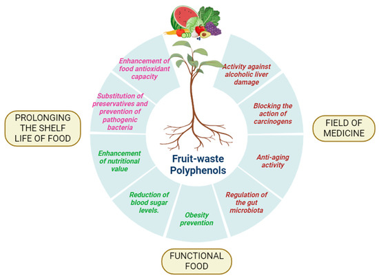 Antioxidants 13 00429 g008