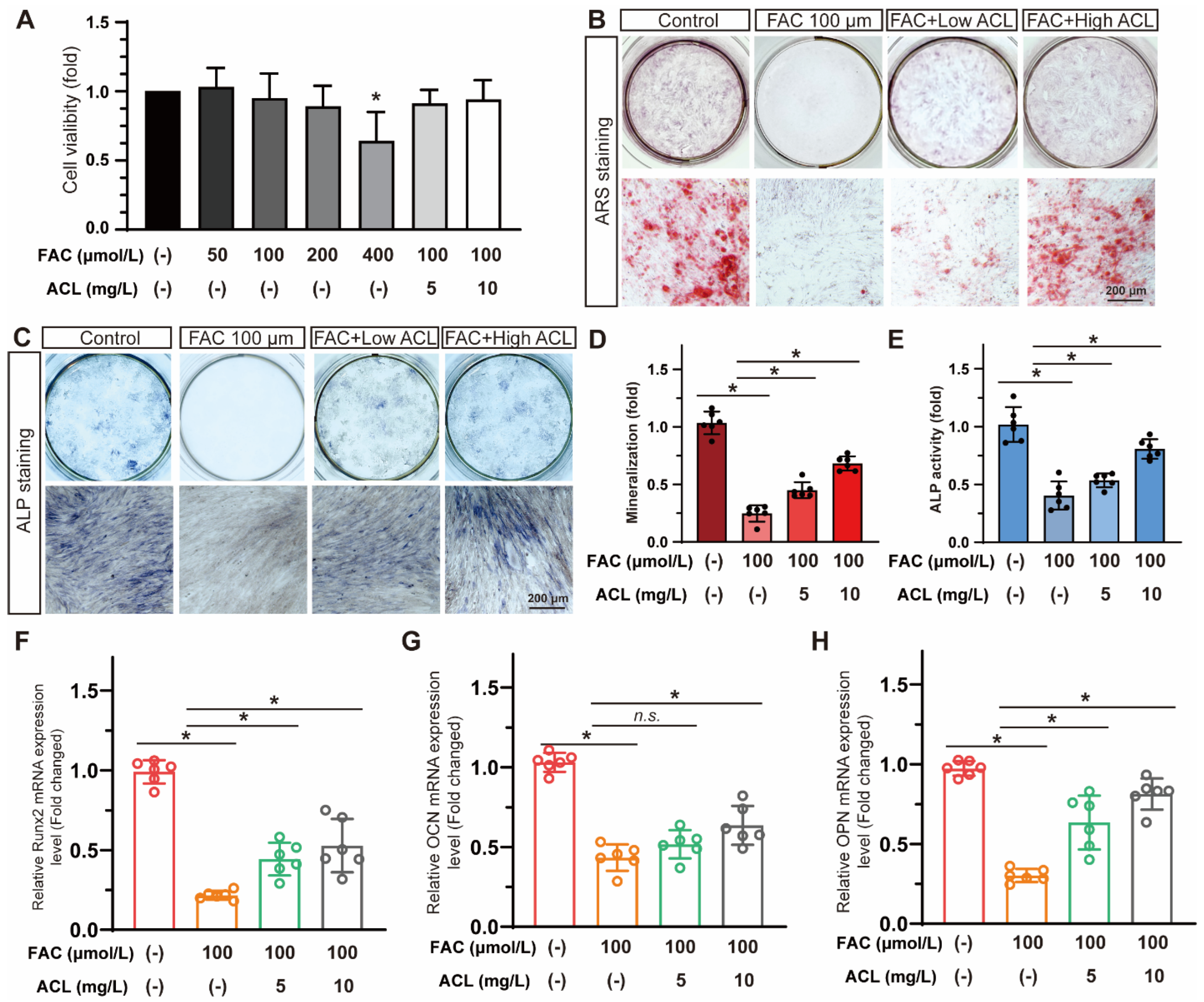 Antioxidants 13 00430 g003