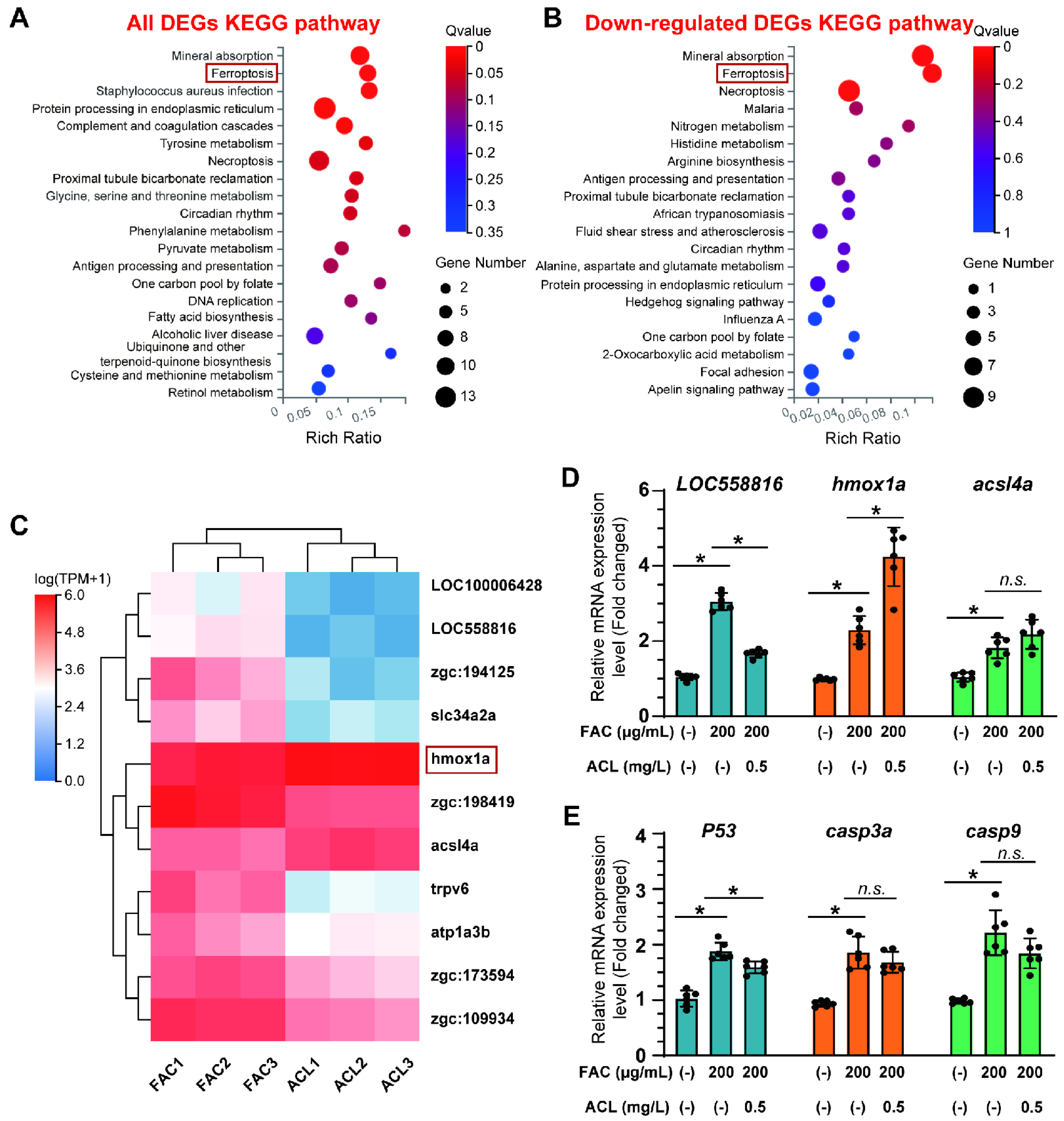 Antioxidants 13 00430 g004