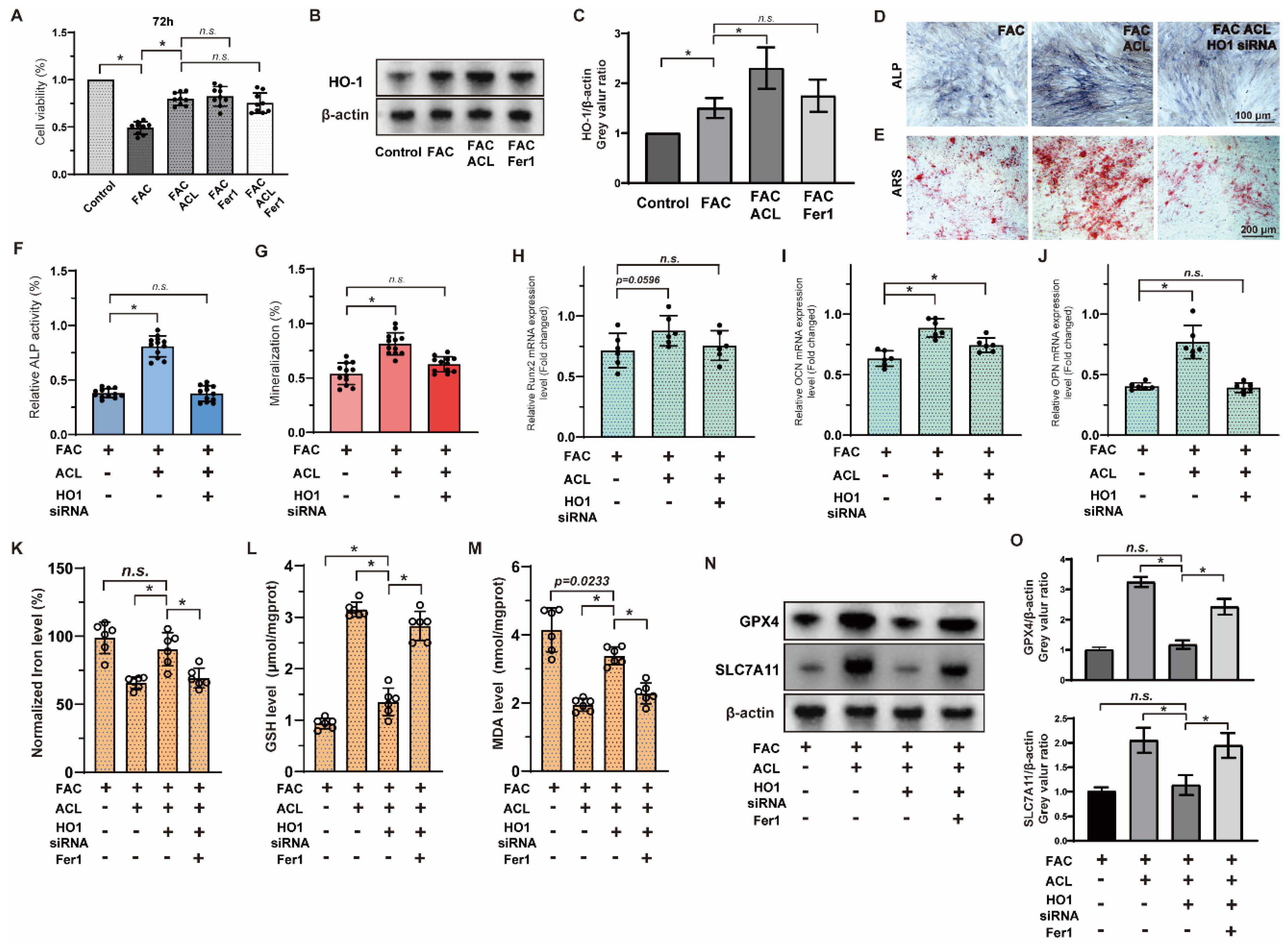 Antioxidants 13 00430 g006
