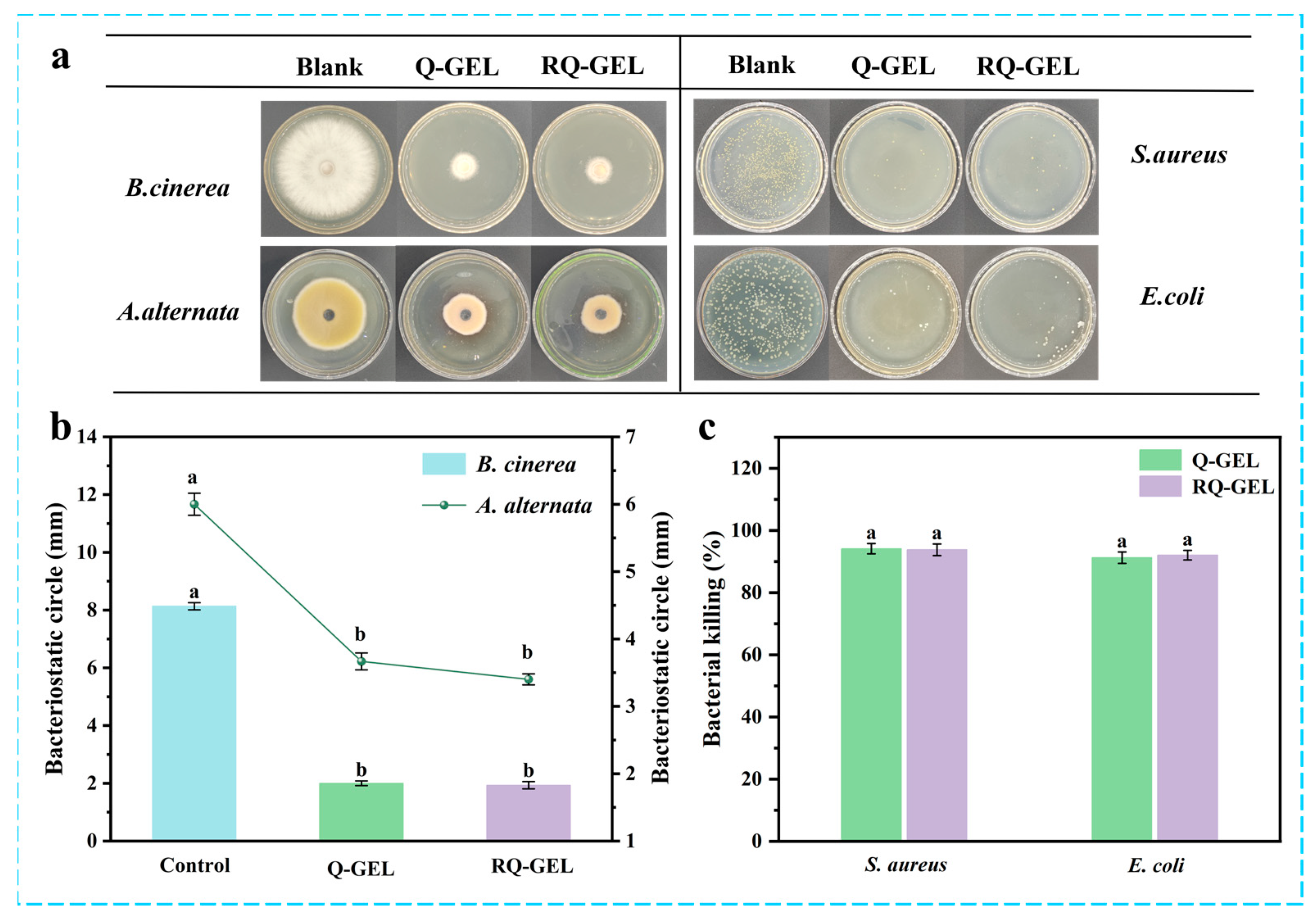 Antioxidants 13 00431 g005