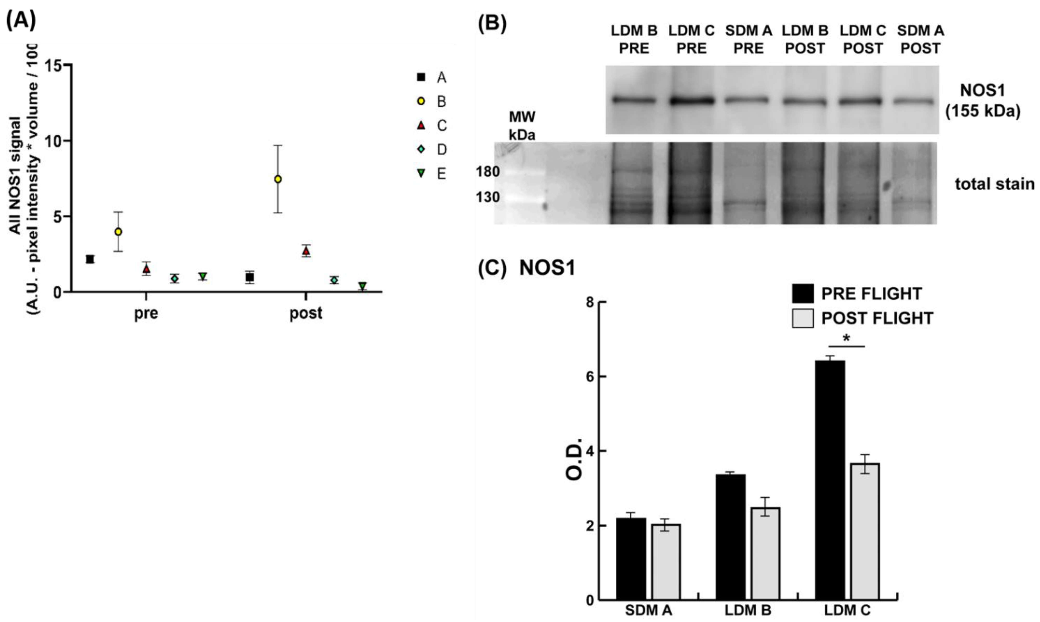 Antioxidants 13 00432 g003