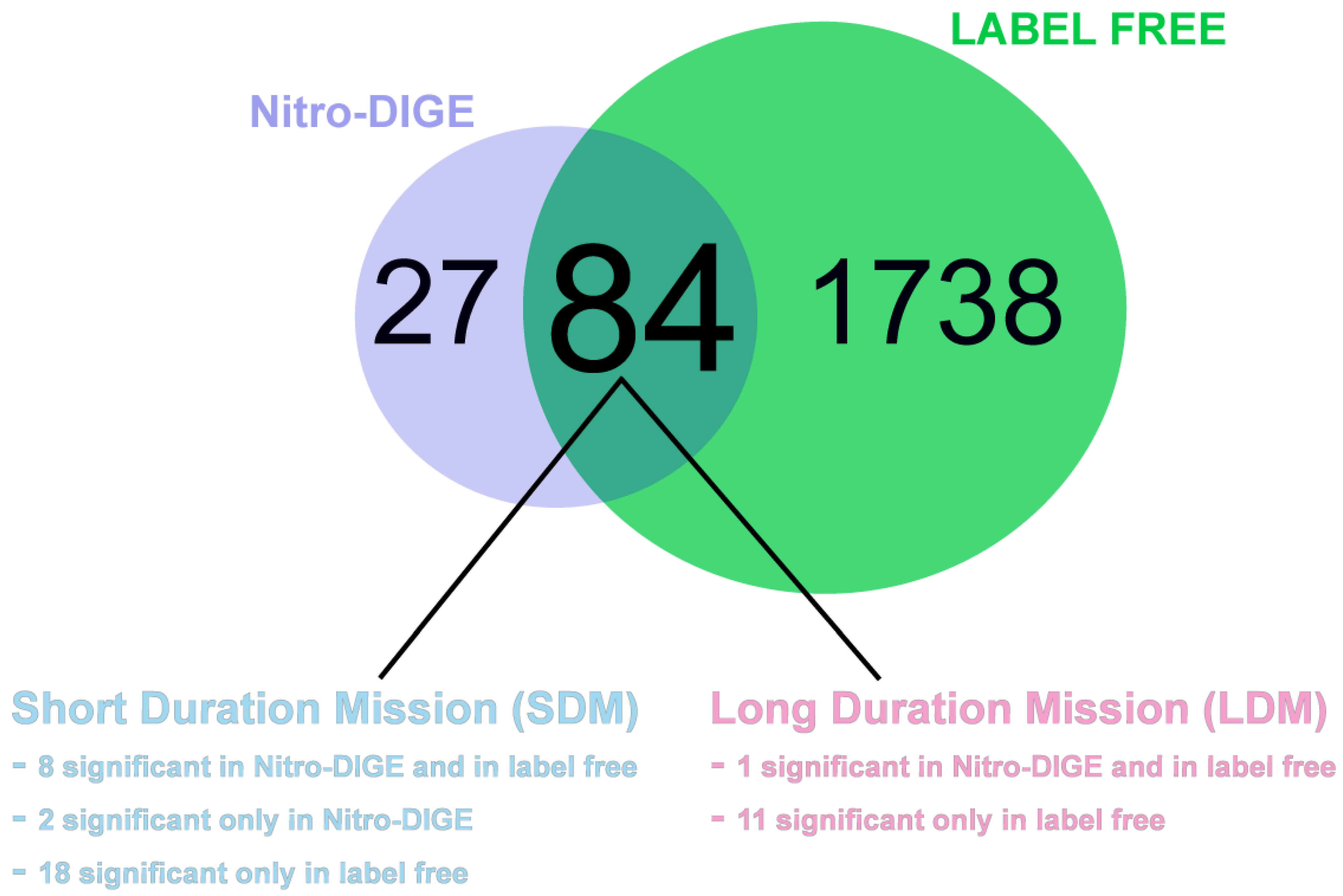 Antioxidants 13 00432 g004