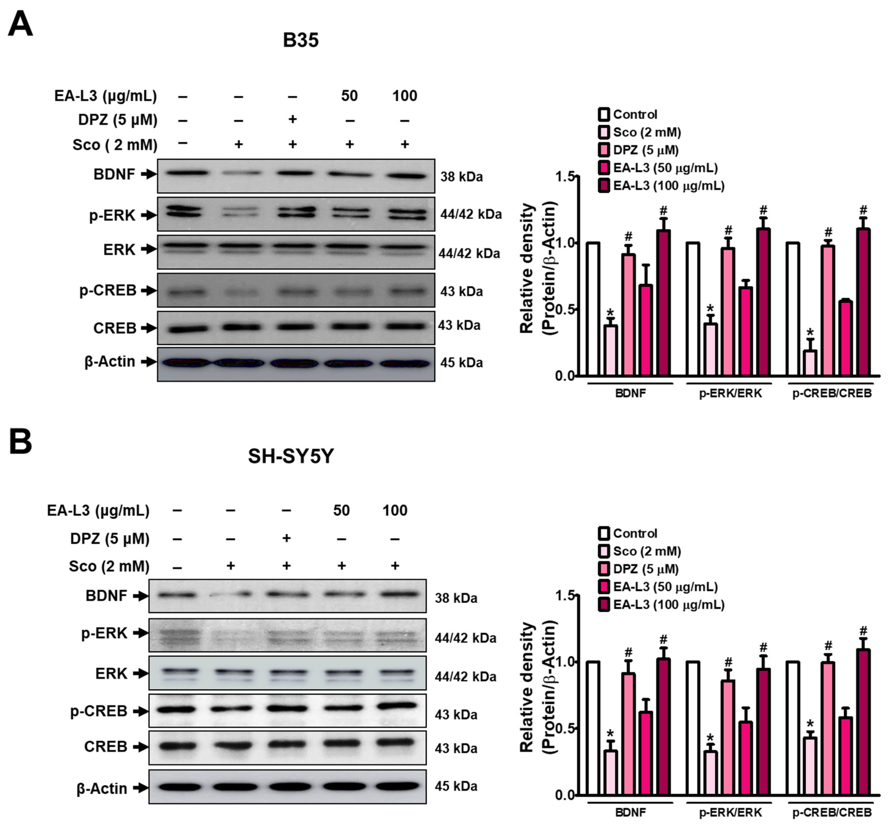 Antioxidants 13 00433 g004