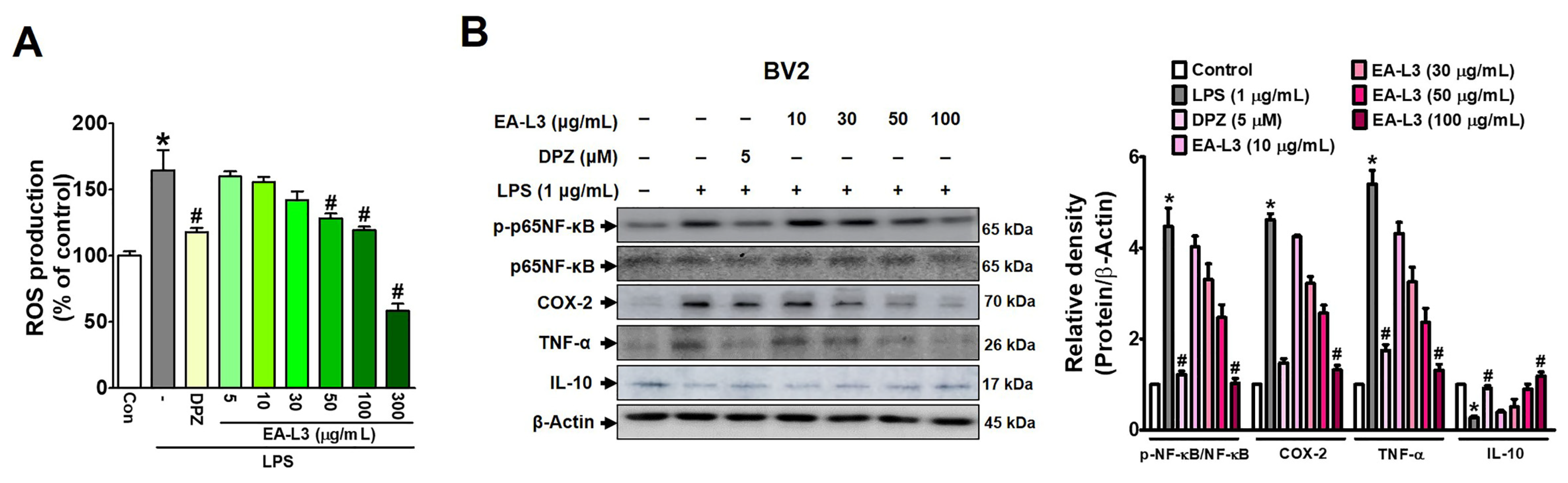 Antioxidants 13 00433 g005