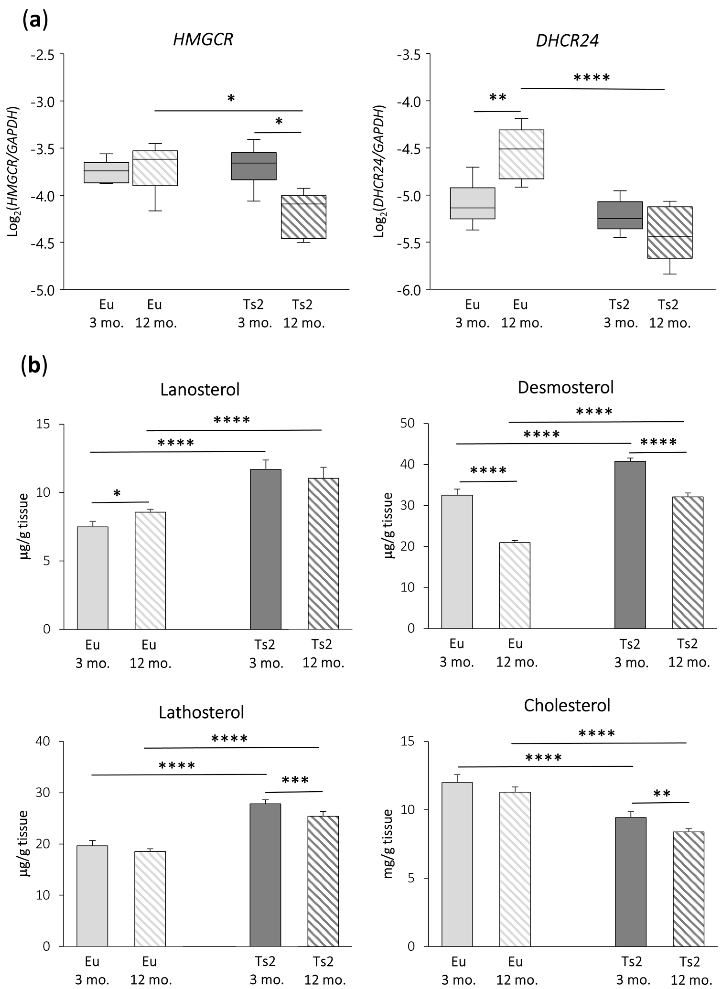 Antioxidants 13 00435 g002