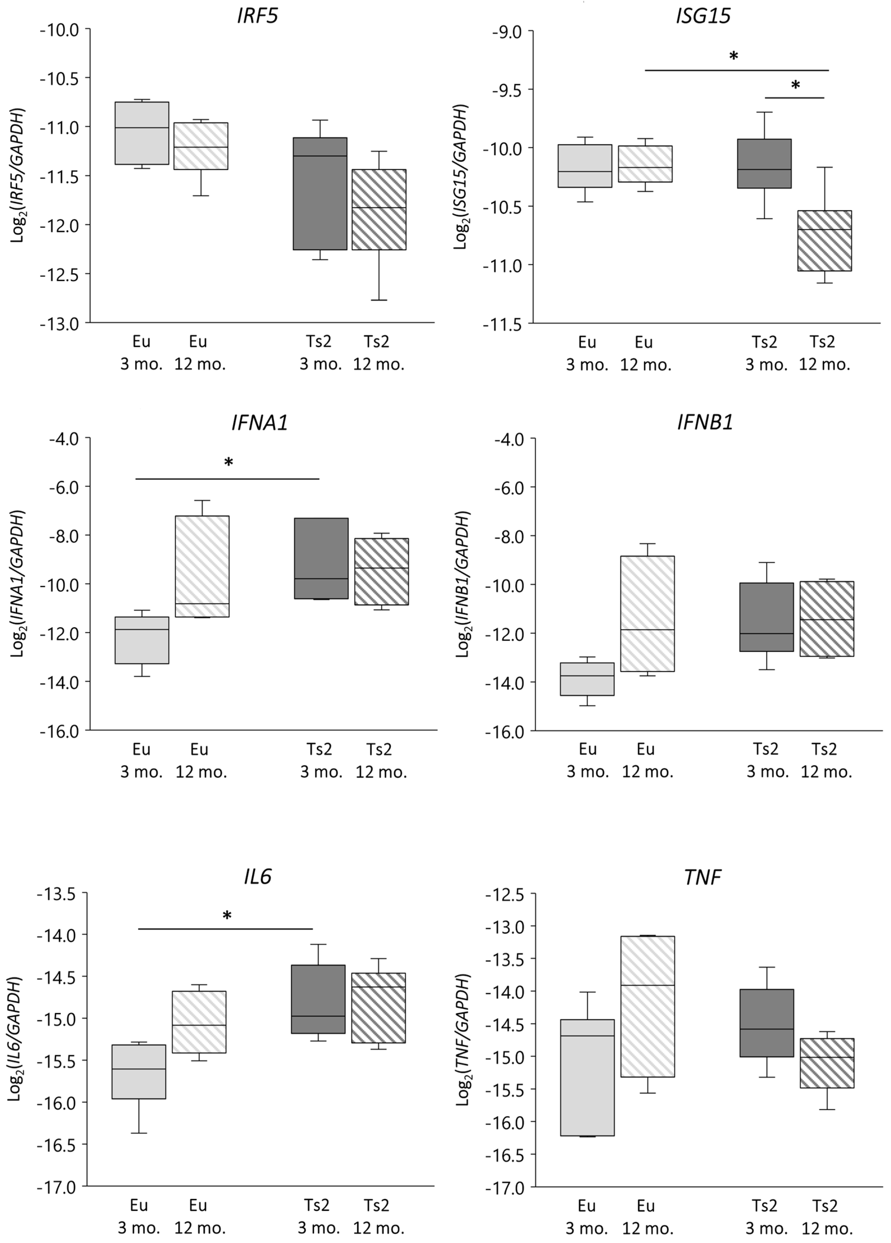 Antioxidants 13 00435 g006