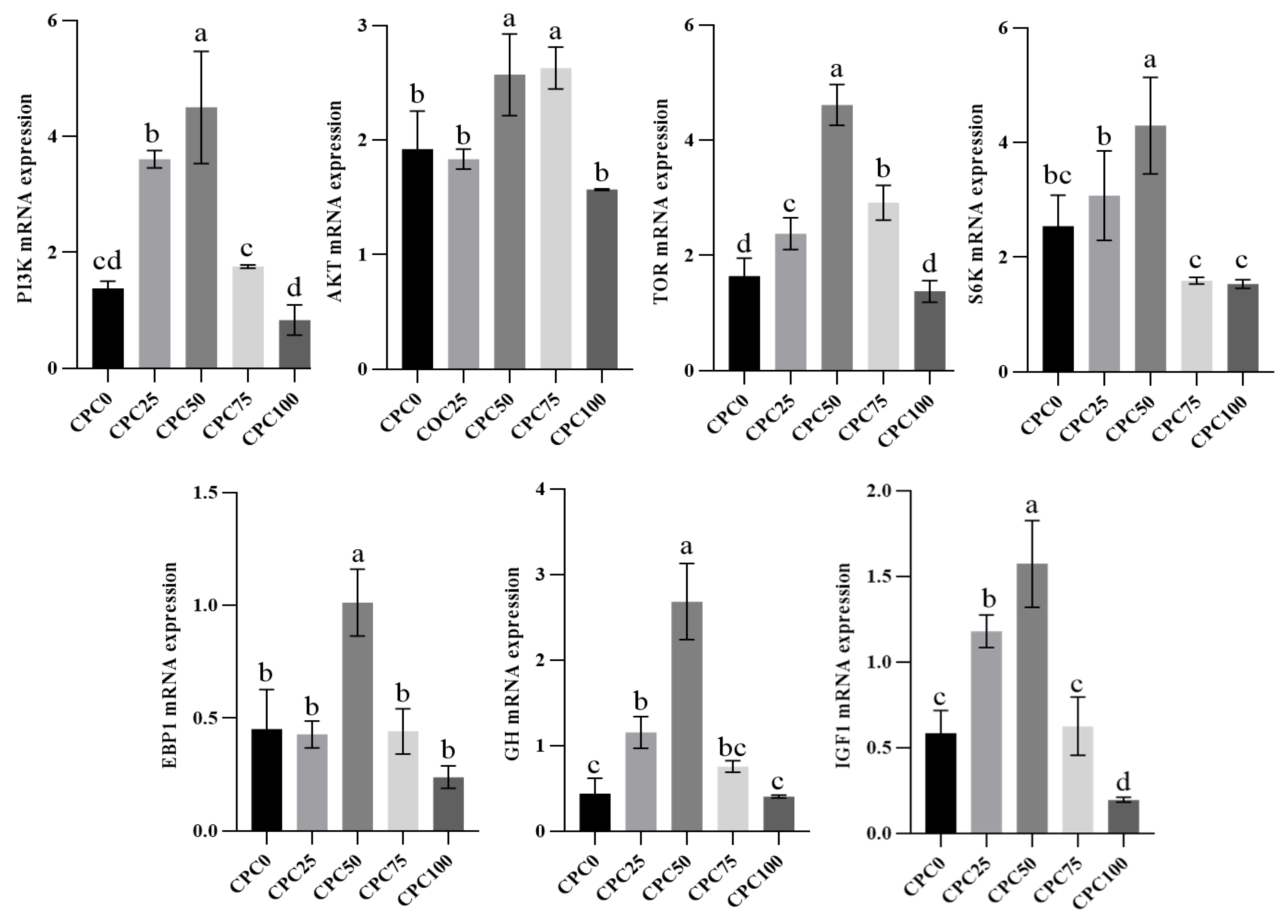 Antioxidants 13 00436 g005