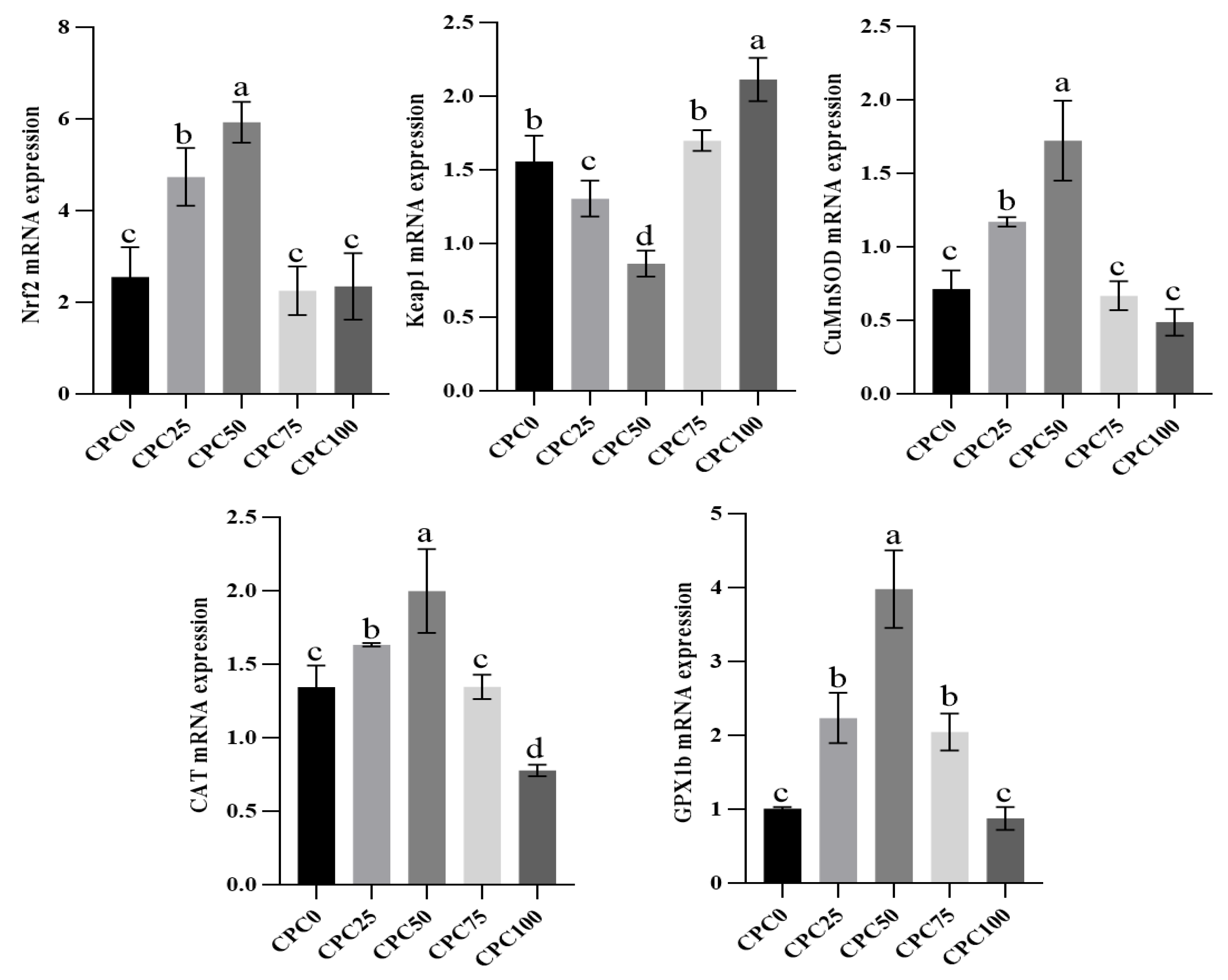 Antioxidants 13 00436 g006