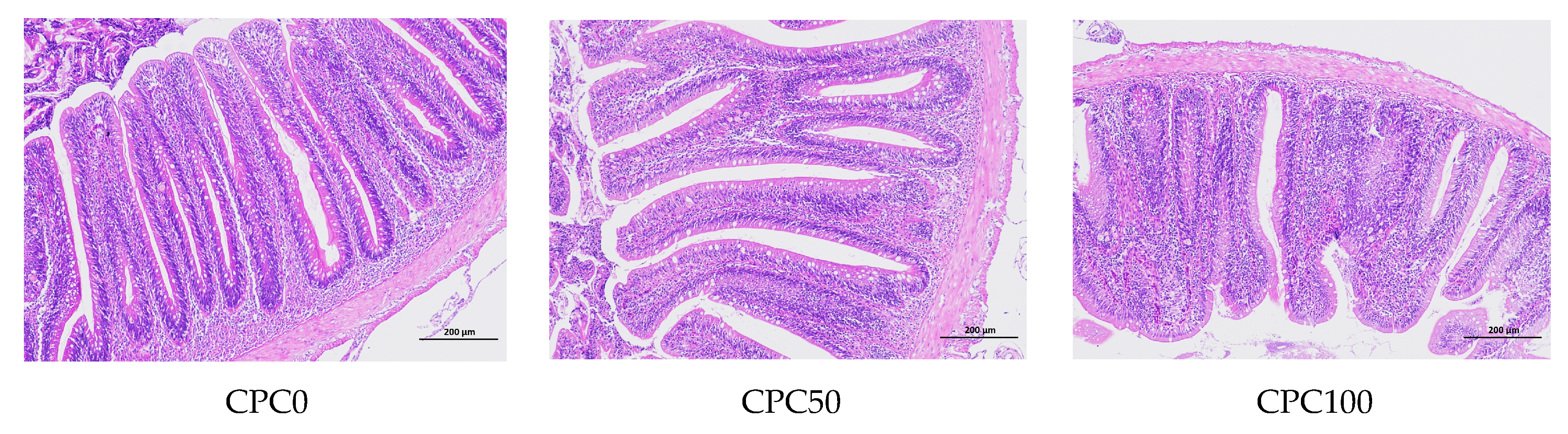 Antioxidants 13 00436 g009