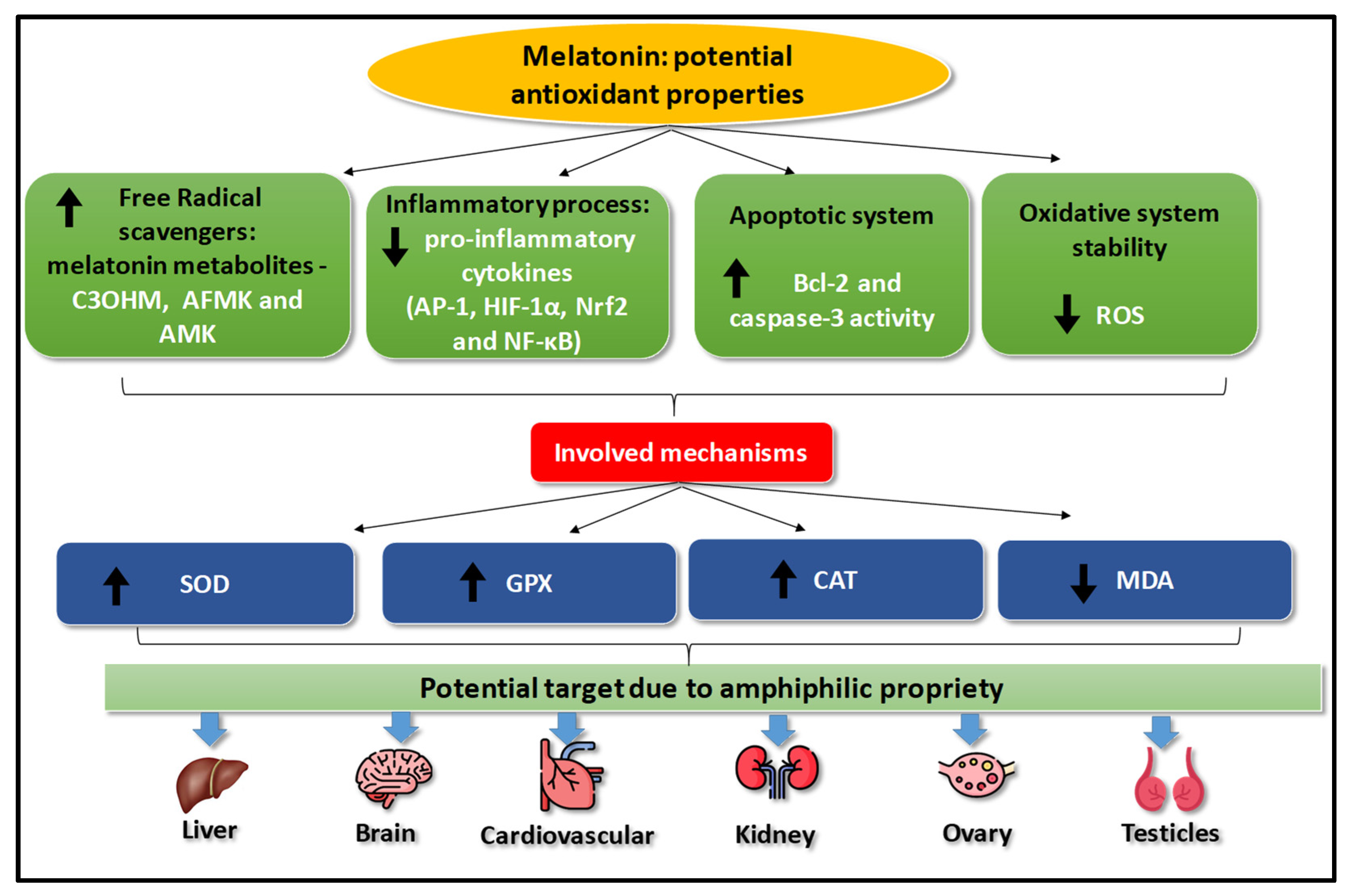 Antioxidants 13 00439 g003