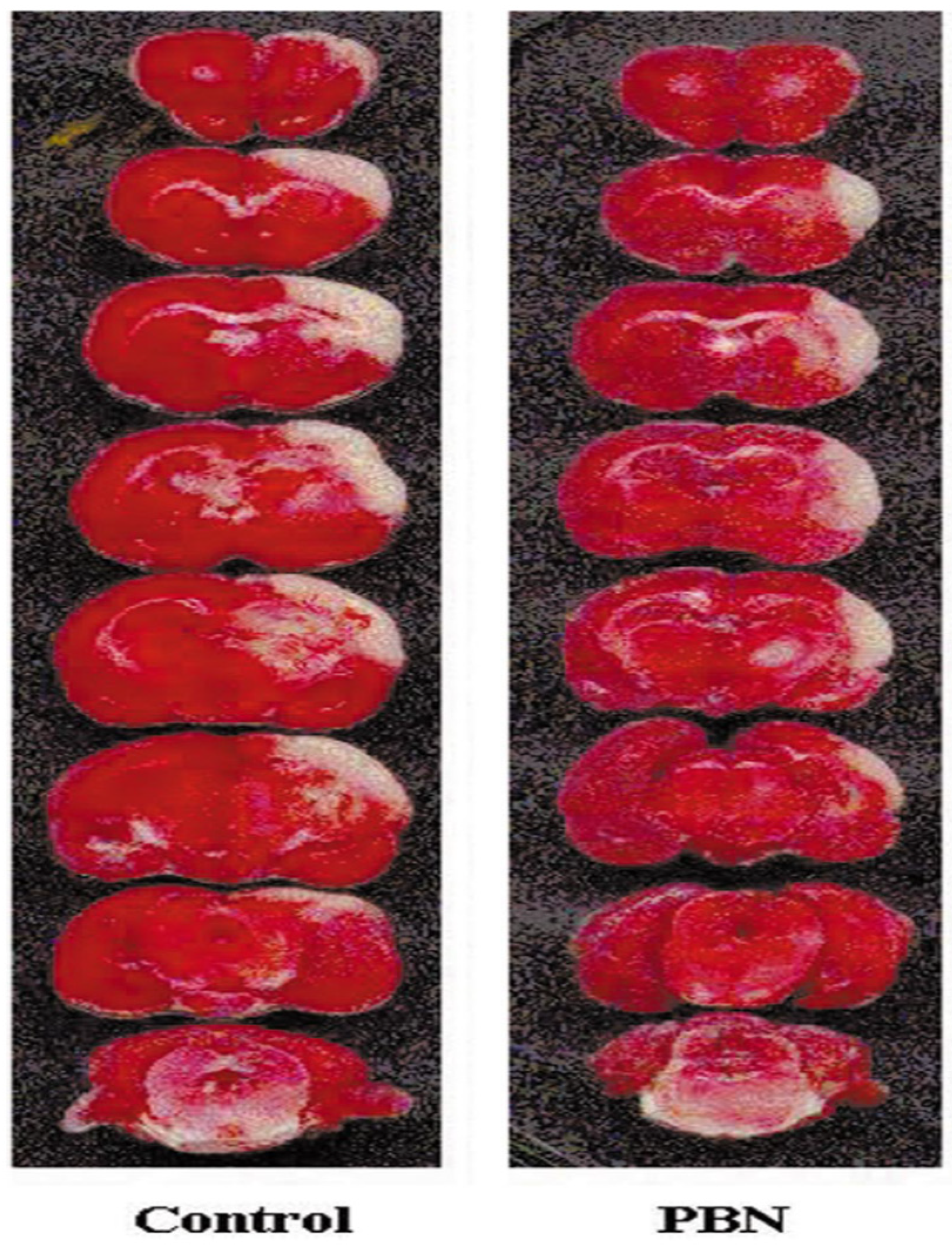 Antioxidants 13 00440 g002