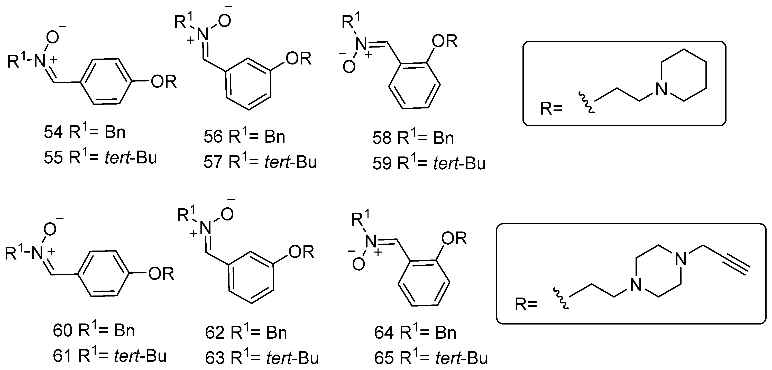 Antioxidants 13 00440 g013