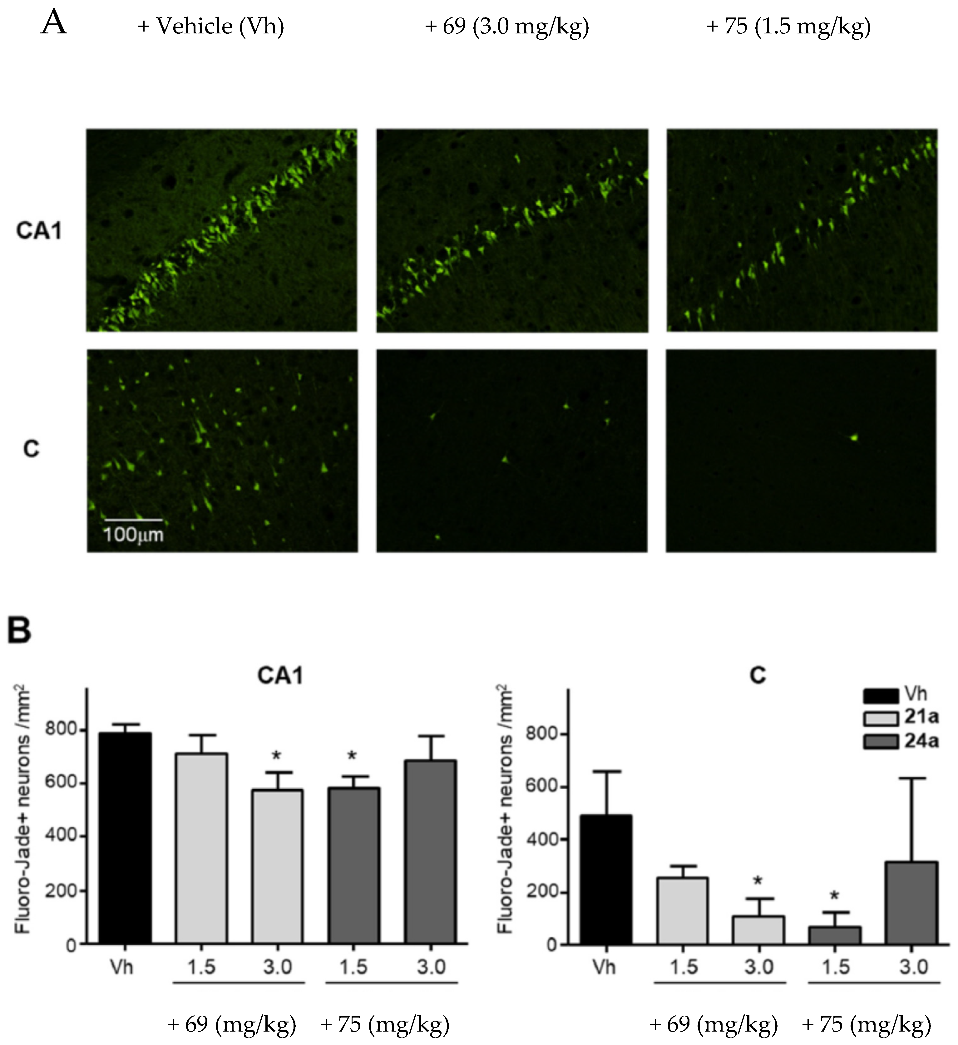 Antioxidants 13 00440 g016