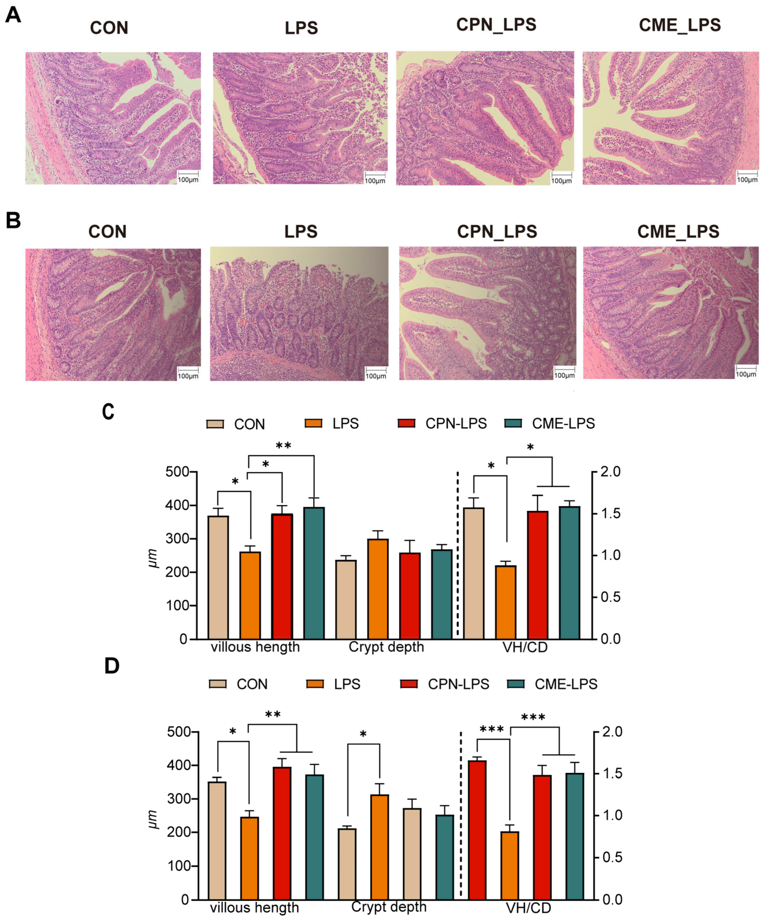 Antioxidants 13 00441 g001