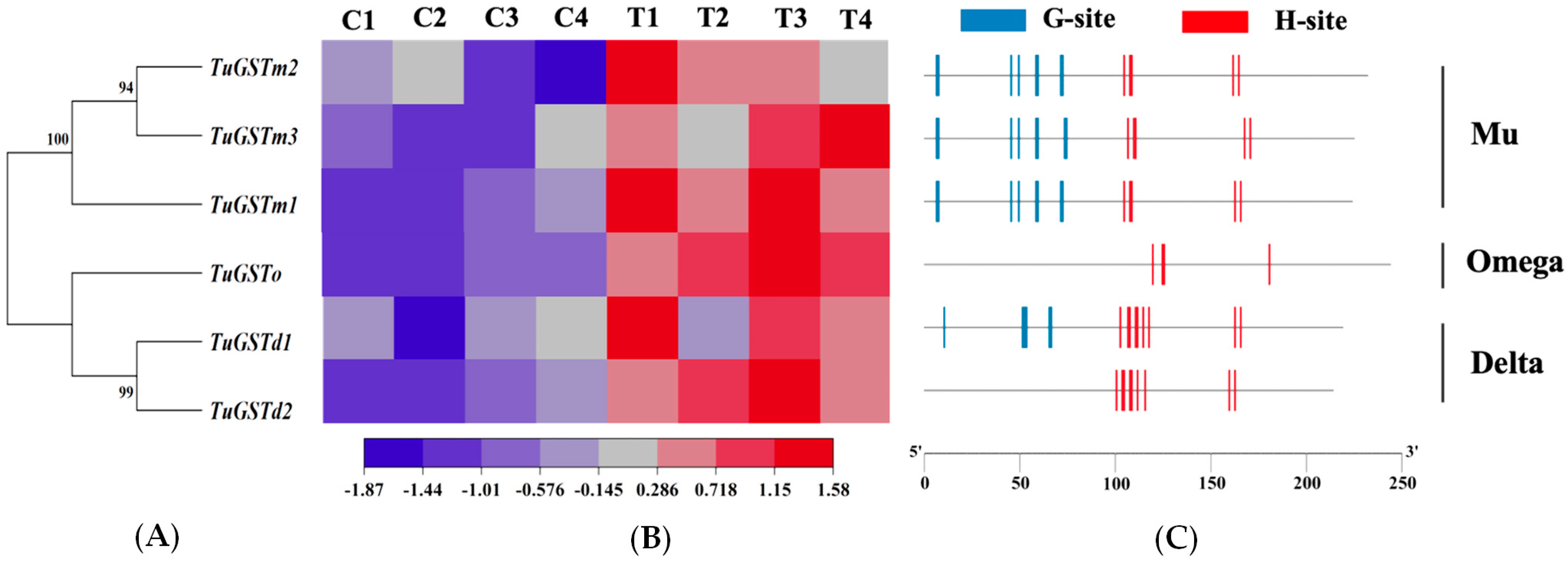 Antioxidants 13 00442 g002