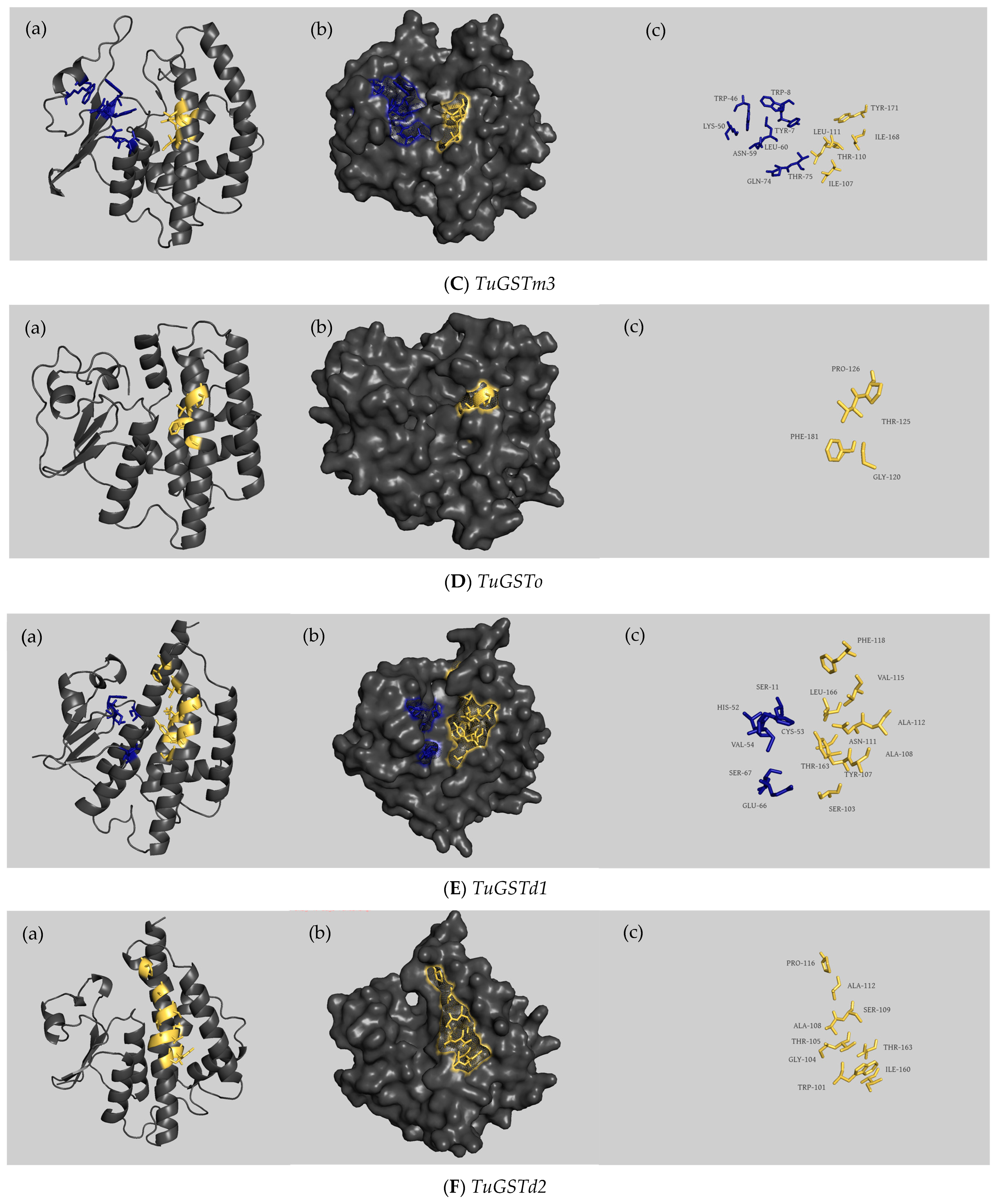 Antioxidants 13 00442 g003b