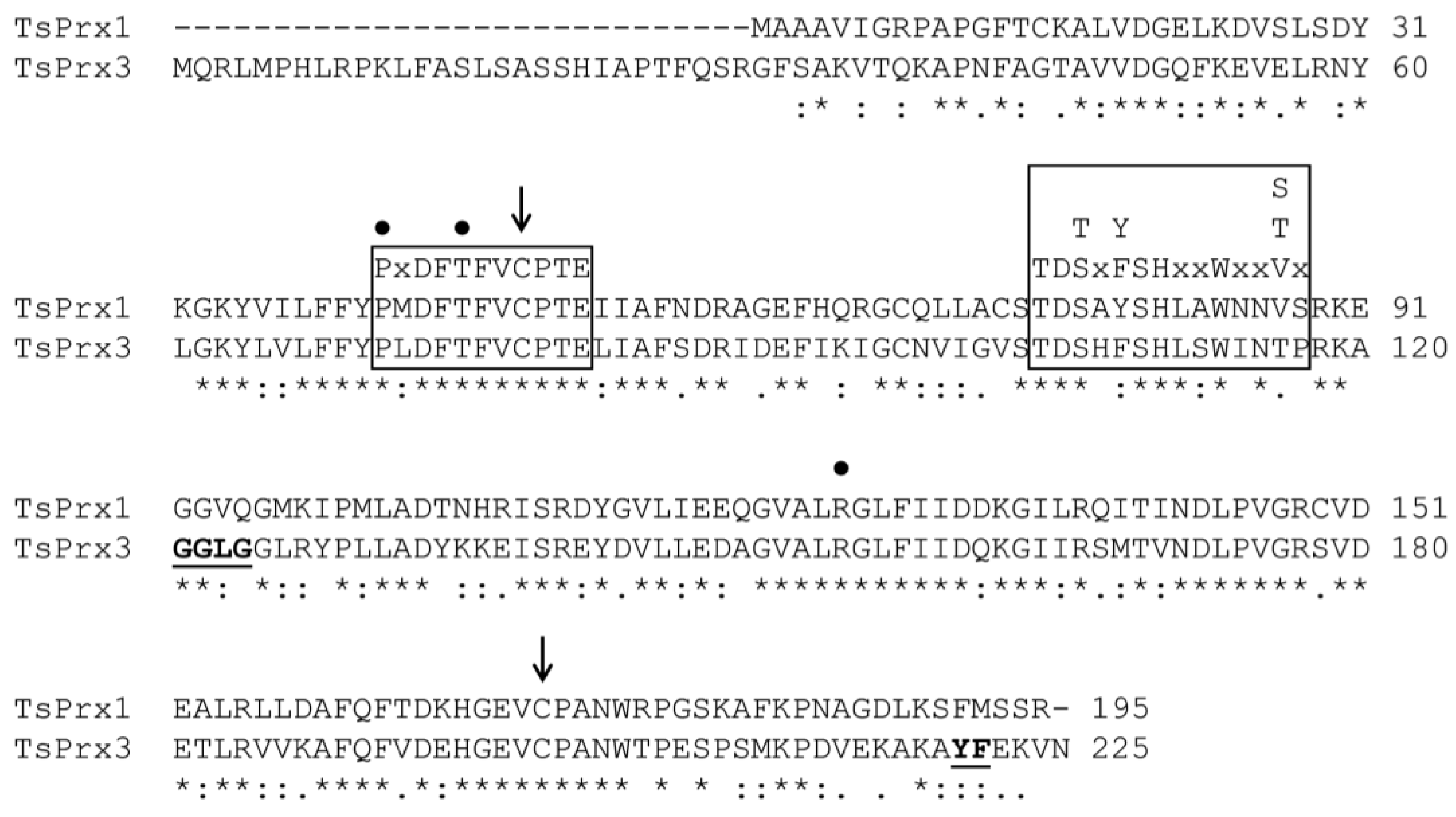 Antioxidants 13 00444 g001