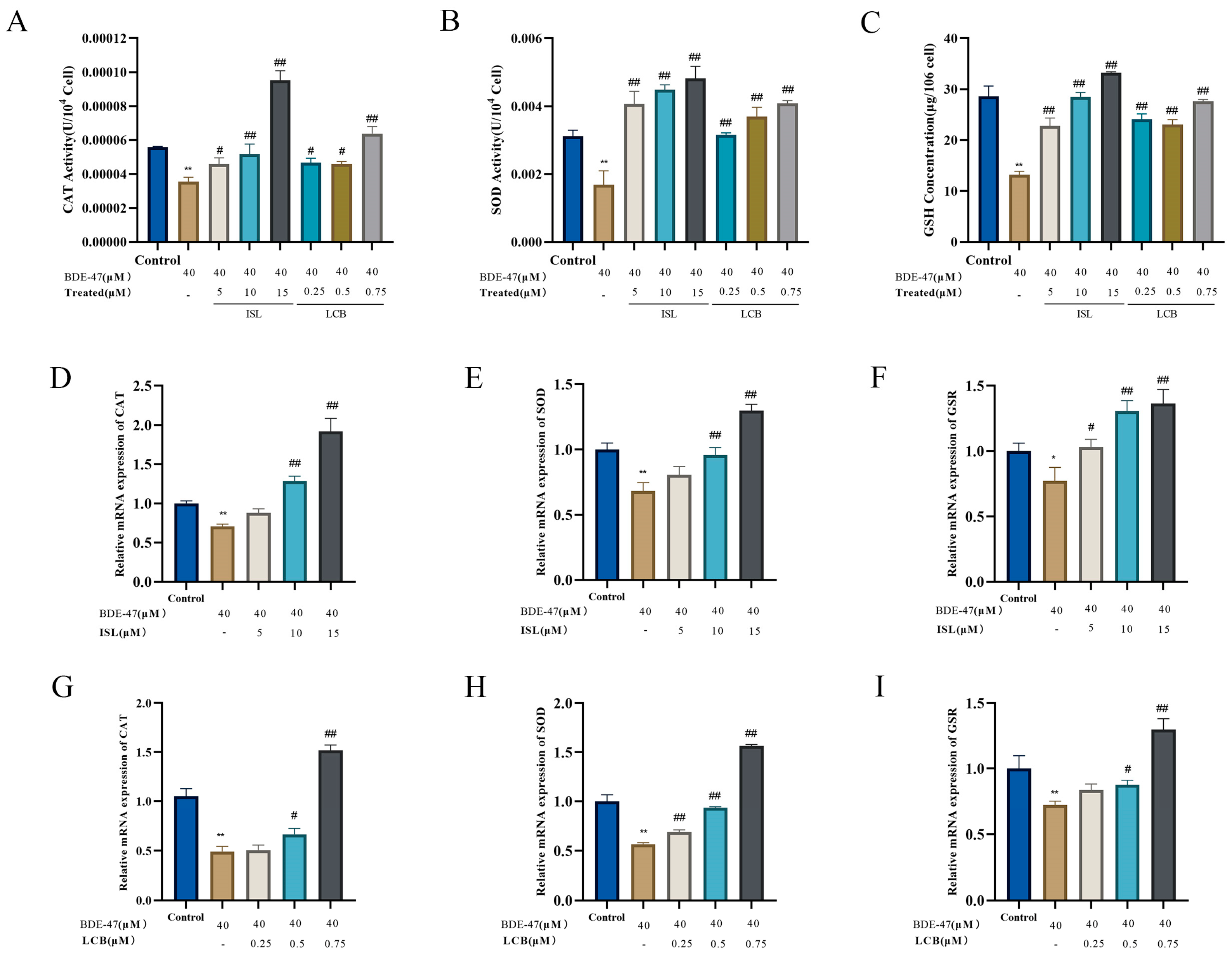 Antioxidants 13 00445 g005