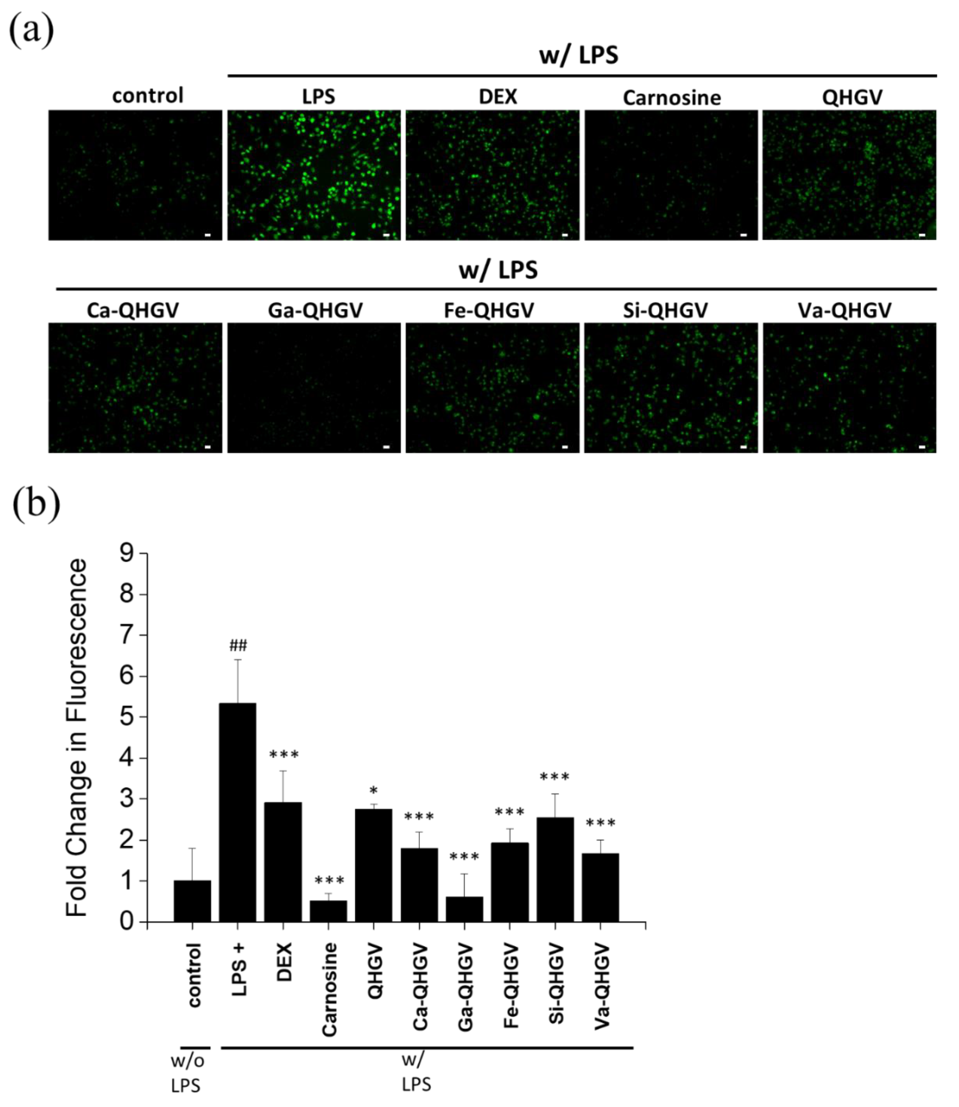 Antioxidants 13 00447 g004