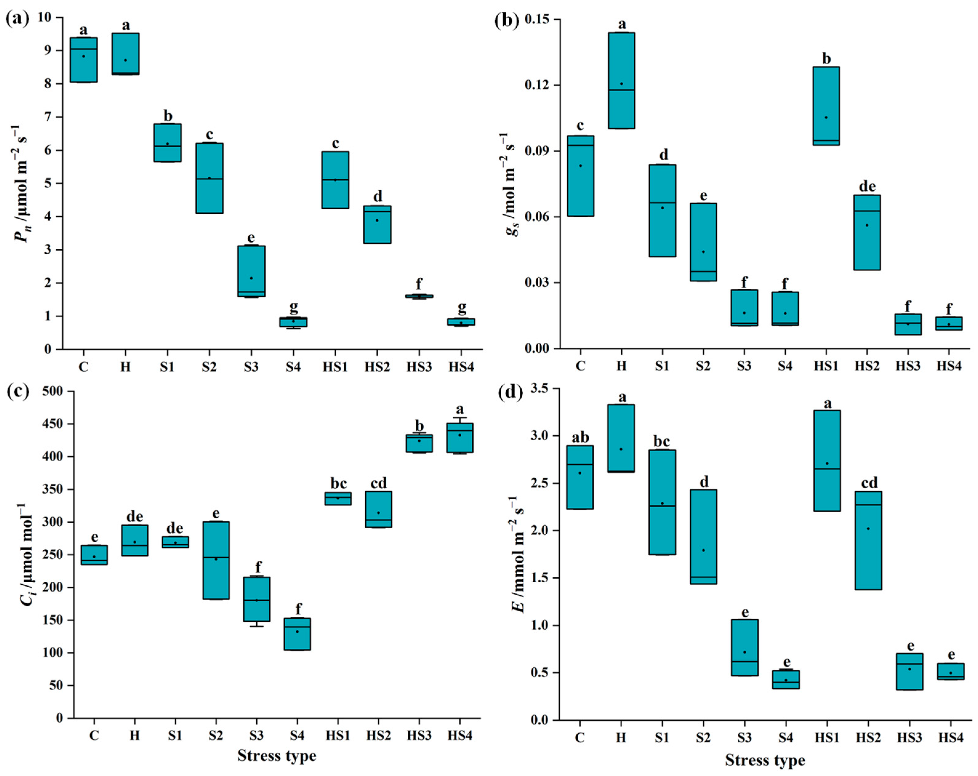 Antioxidants 13 00448 g001