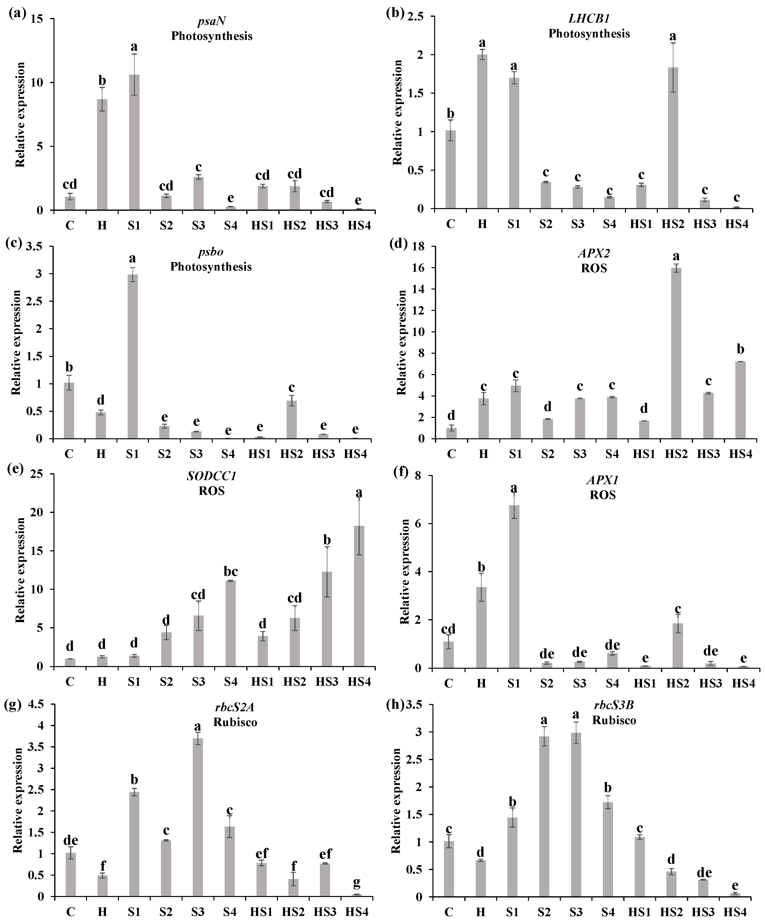 Antioxidants 13 00448 g004