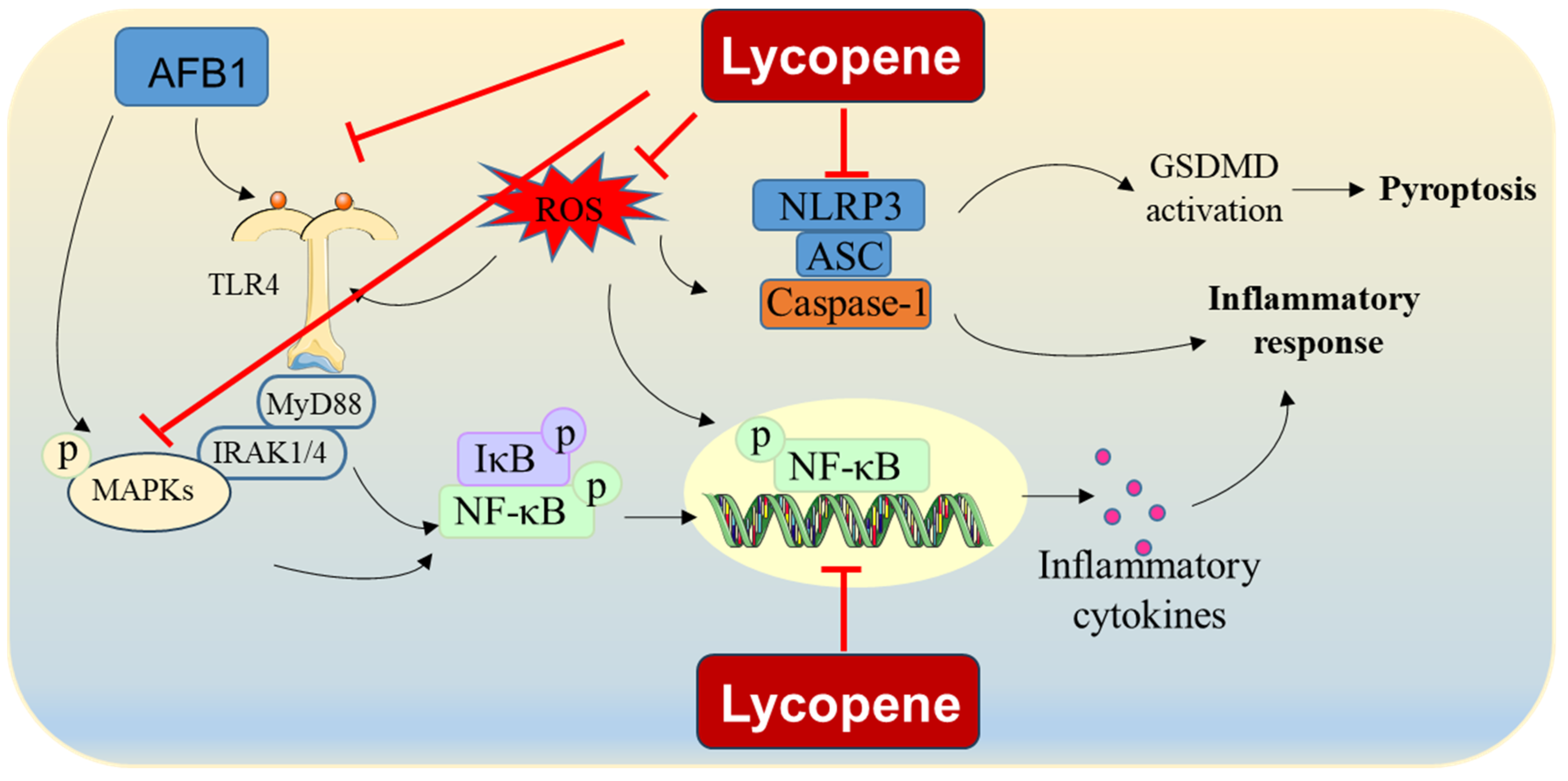 Antioxidants 13 00452 g003