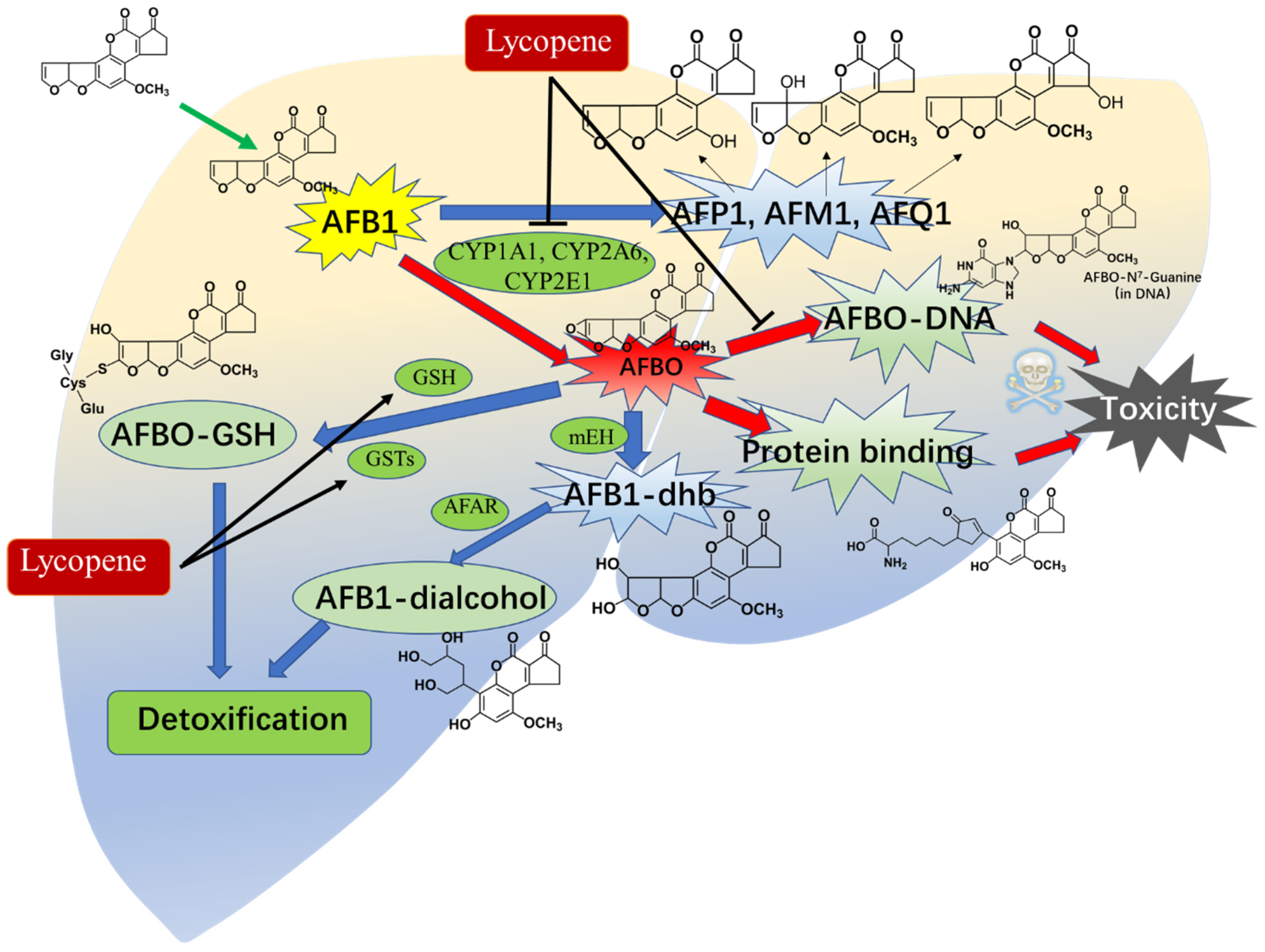Antioxidants 13 00452 g005