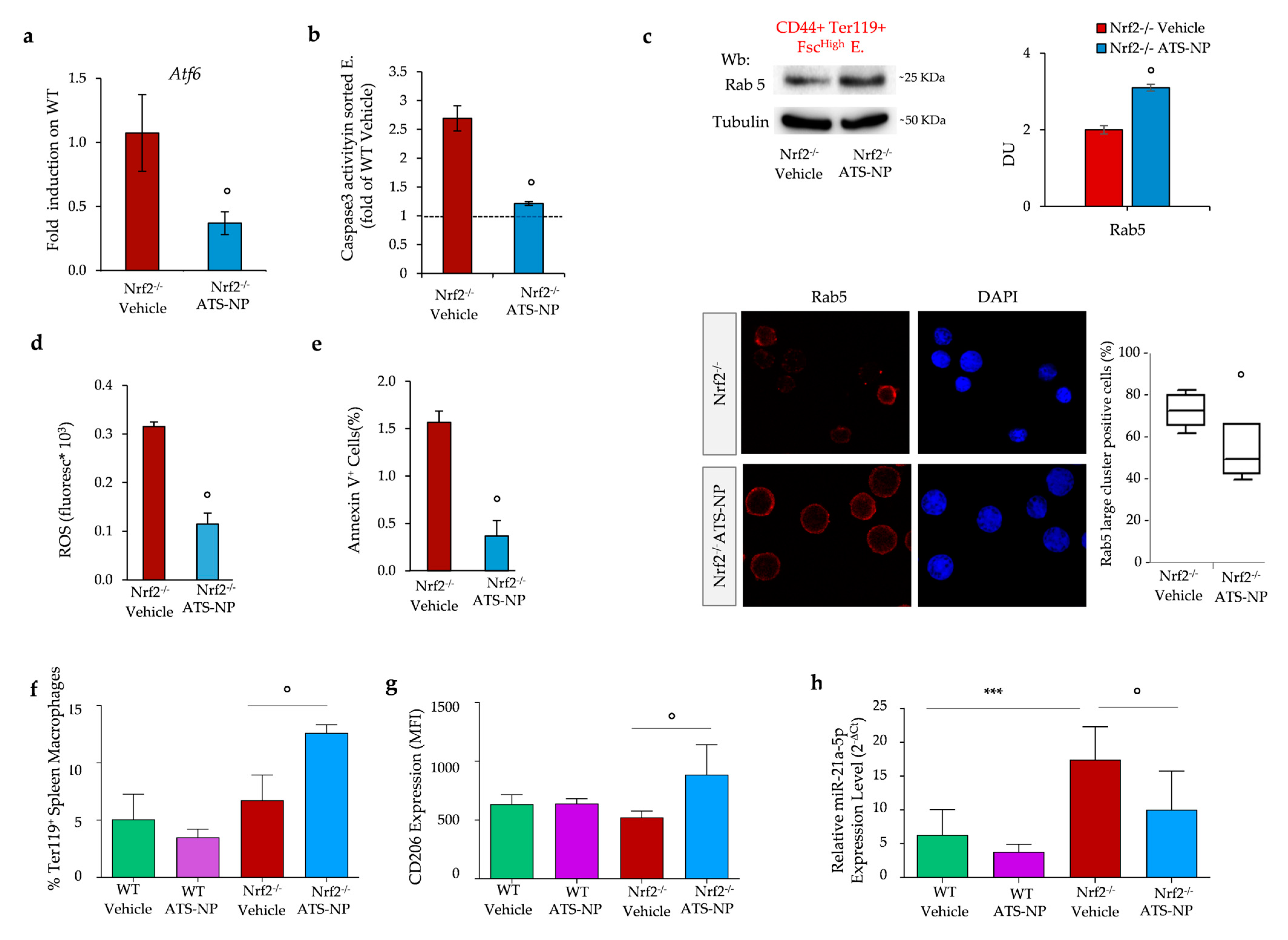 Antioxidants 13 00454 g006