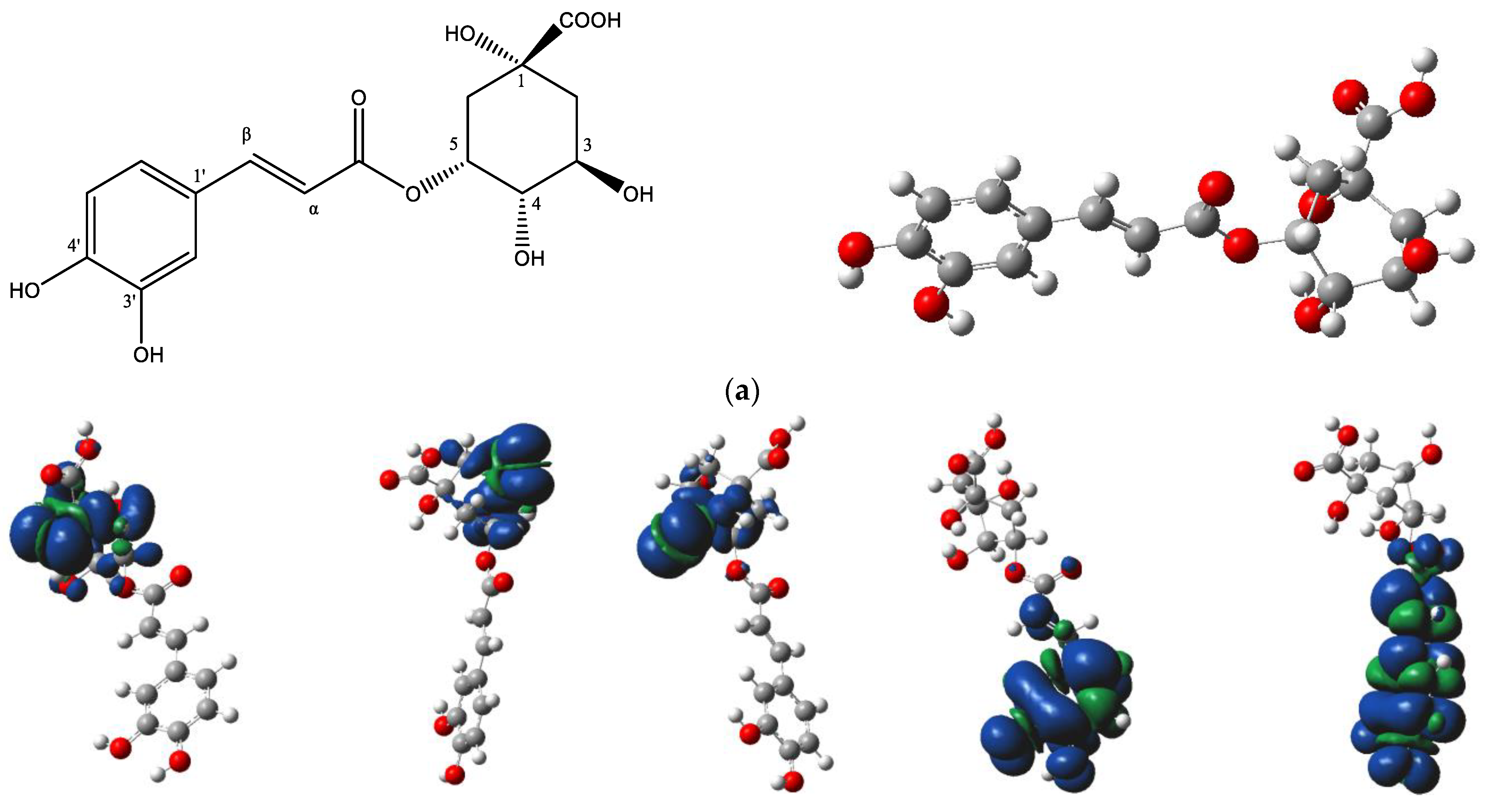 Antioxidants 13 00456 g006a