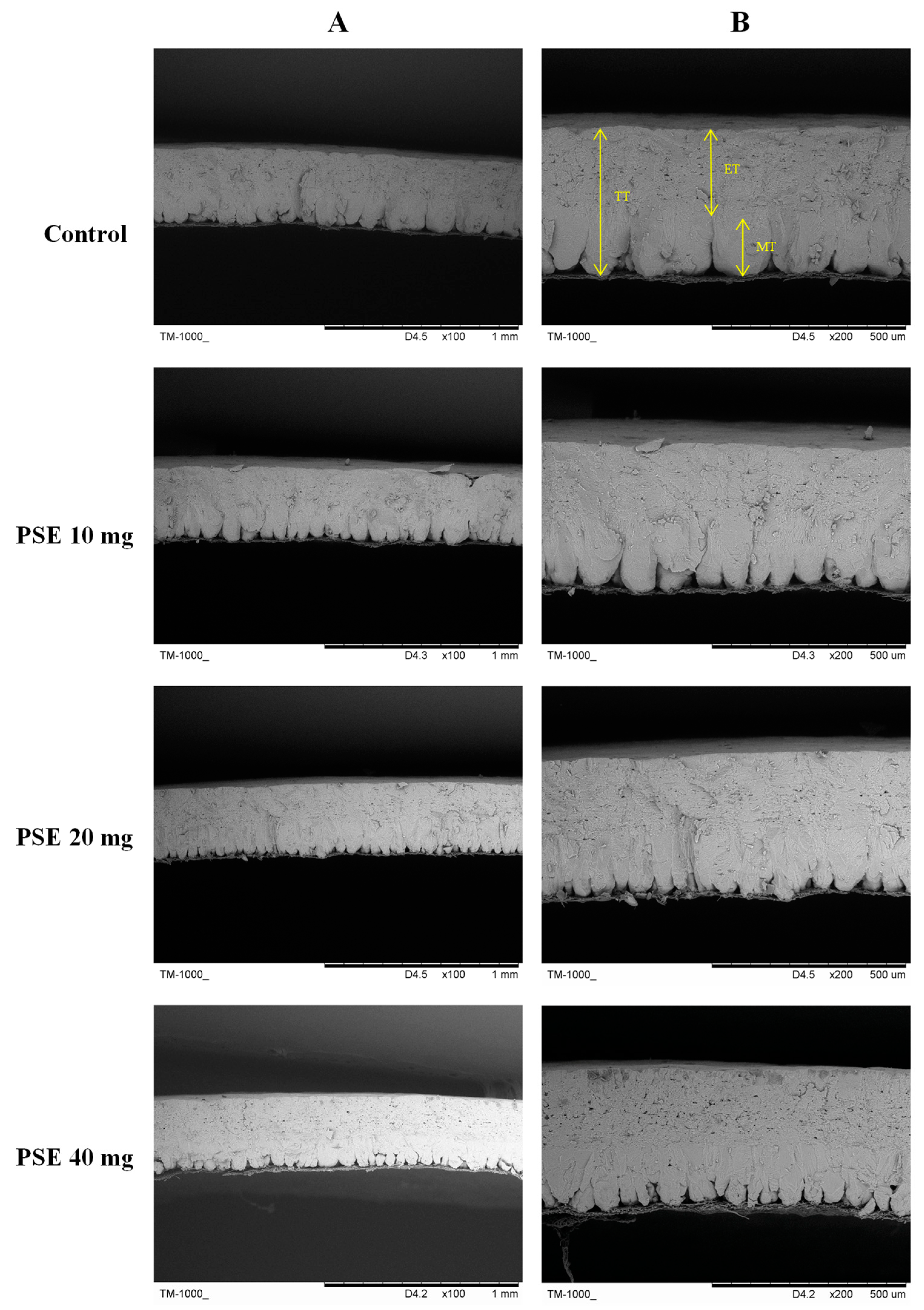 Antioxidants 13 00458 g001