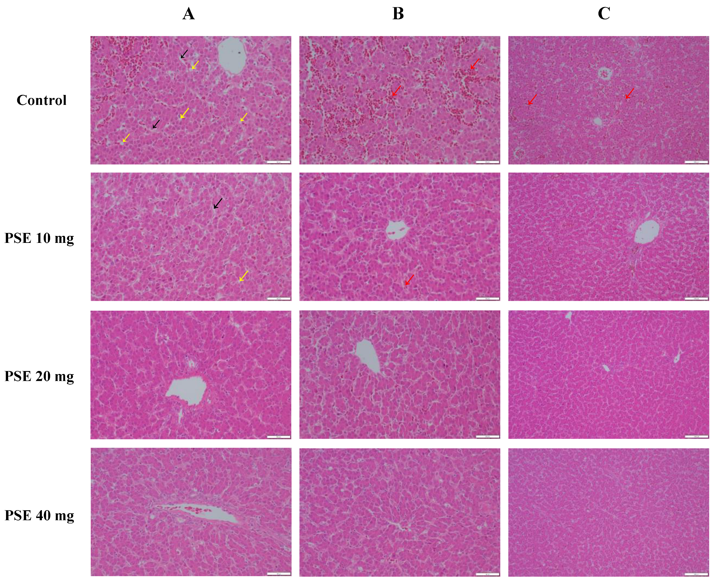Antioxidants 13 00458 g002