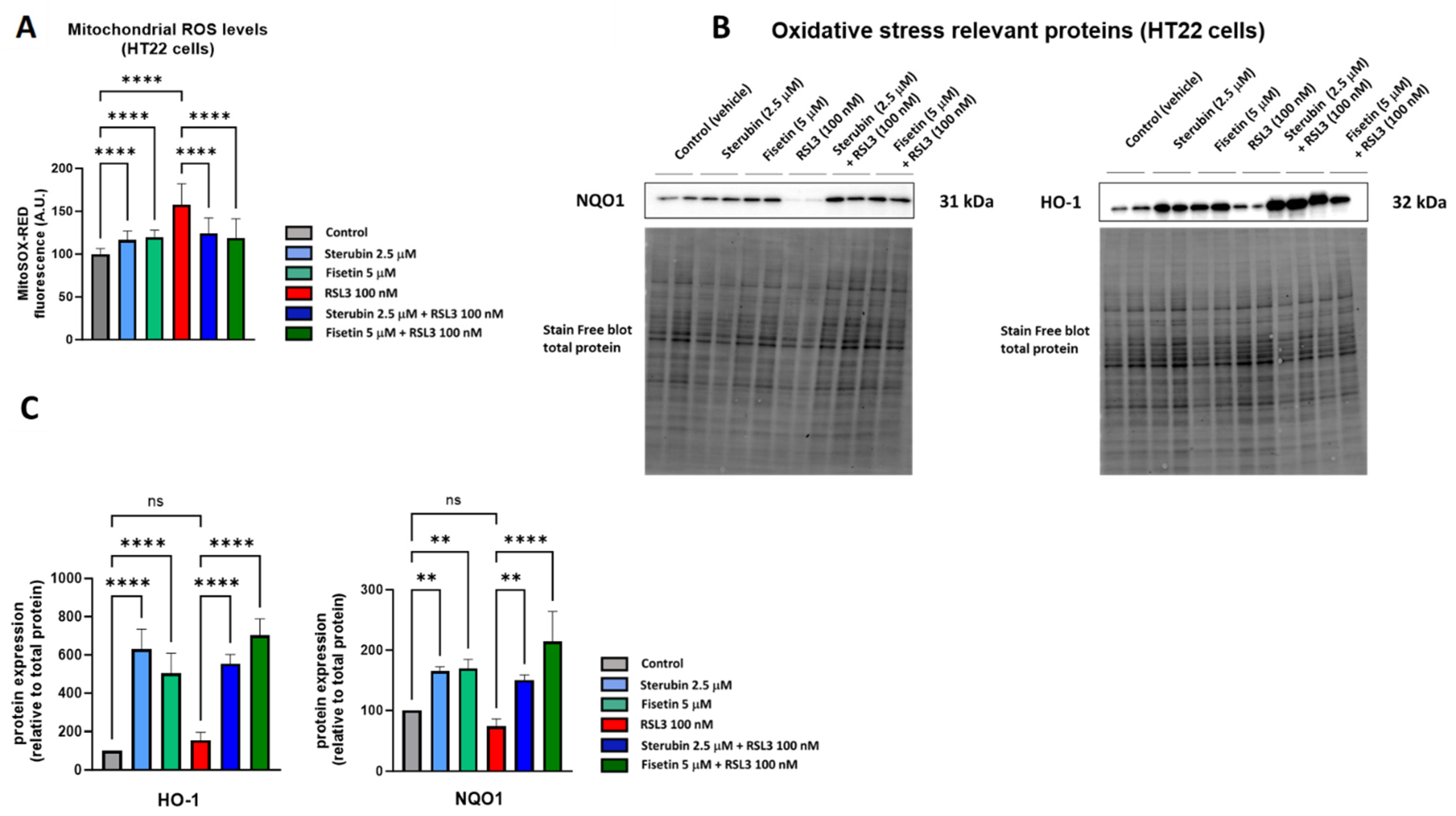 Antioxidants 13 00460 g002