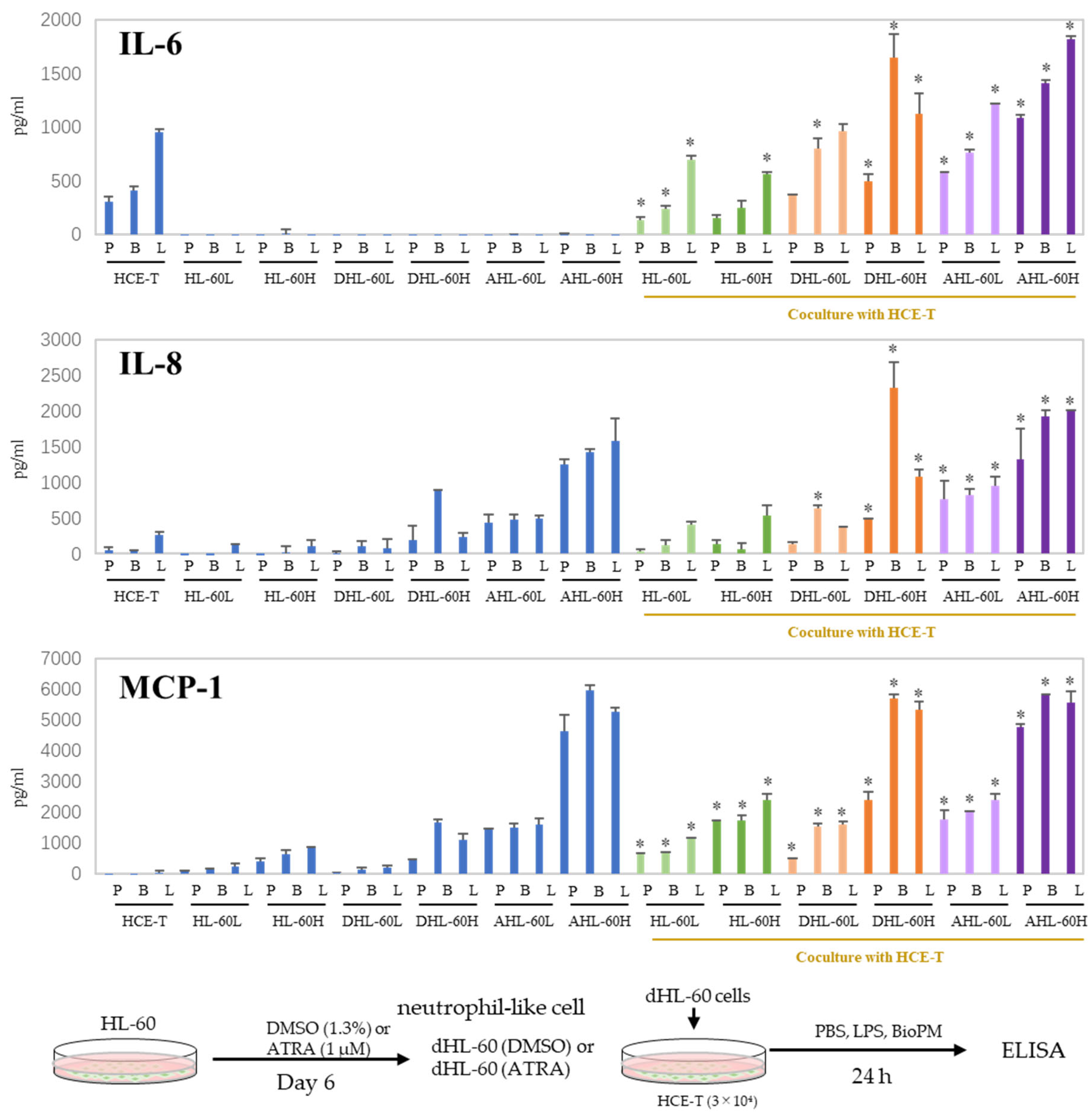 Antioxidants 13 00467 g003