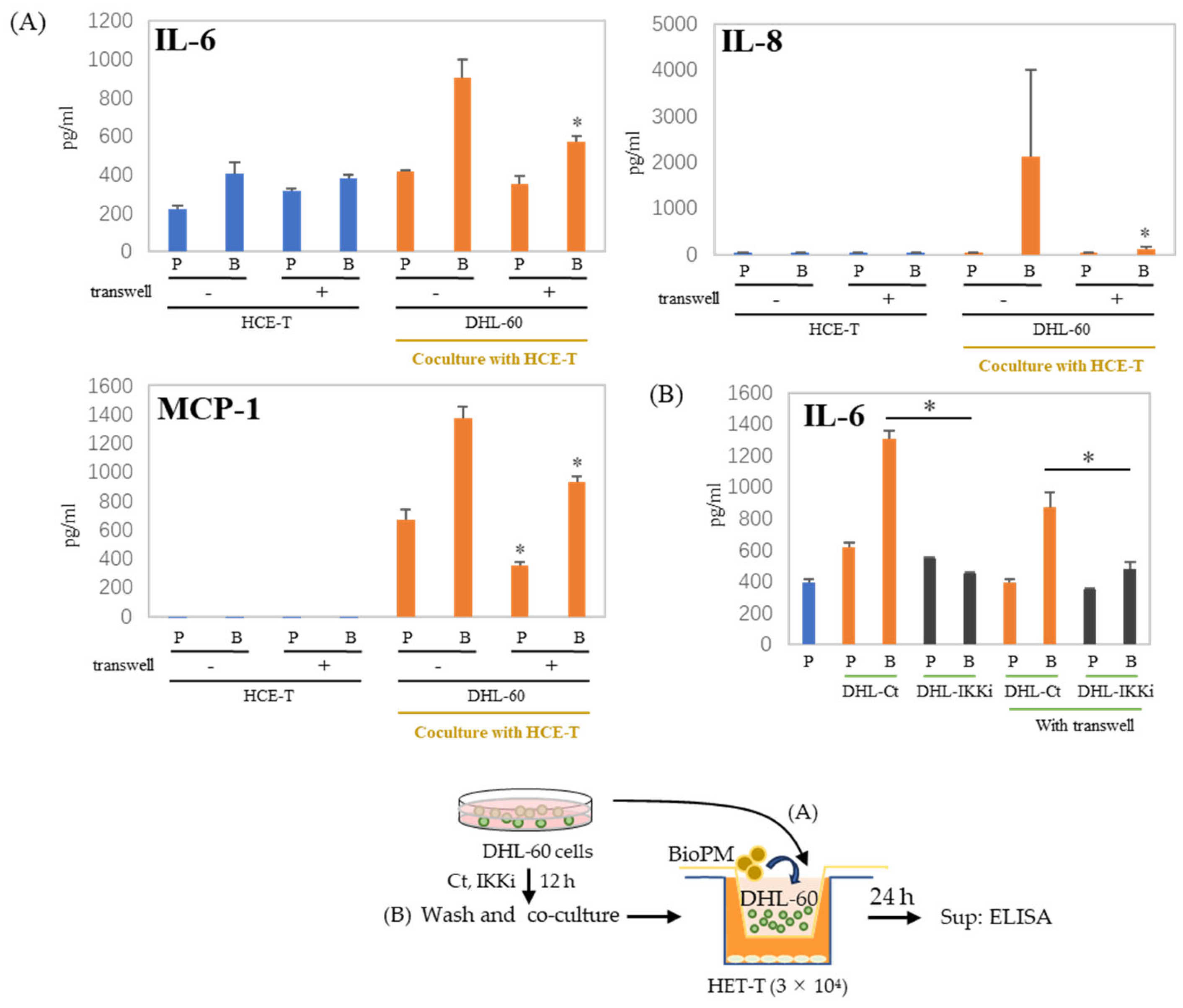 Antioxidants 13 00467 g006