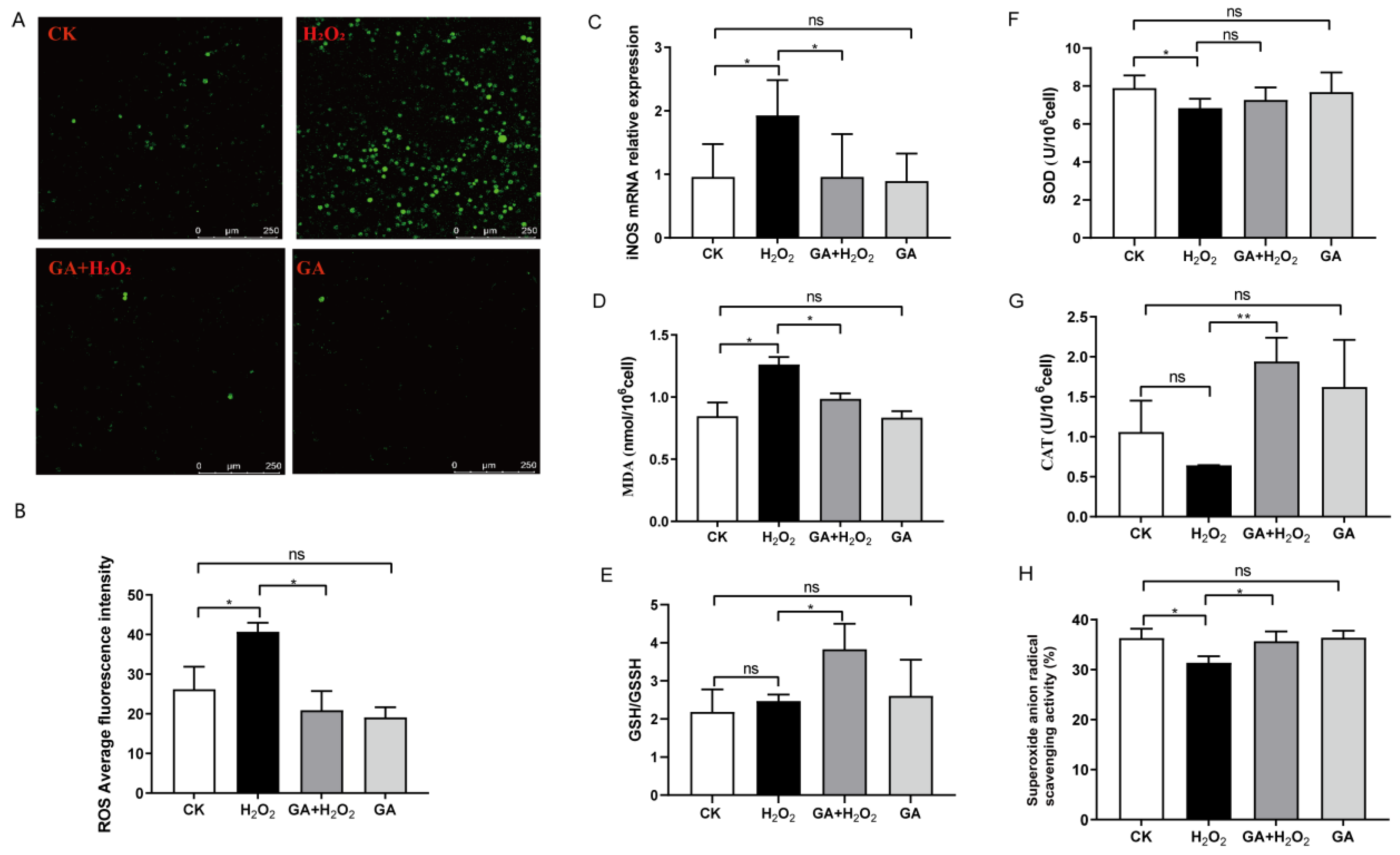 Antioxidants 13 00468 g003