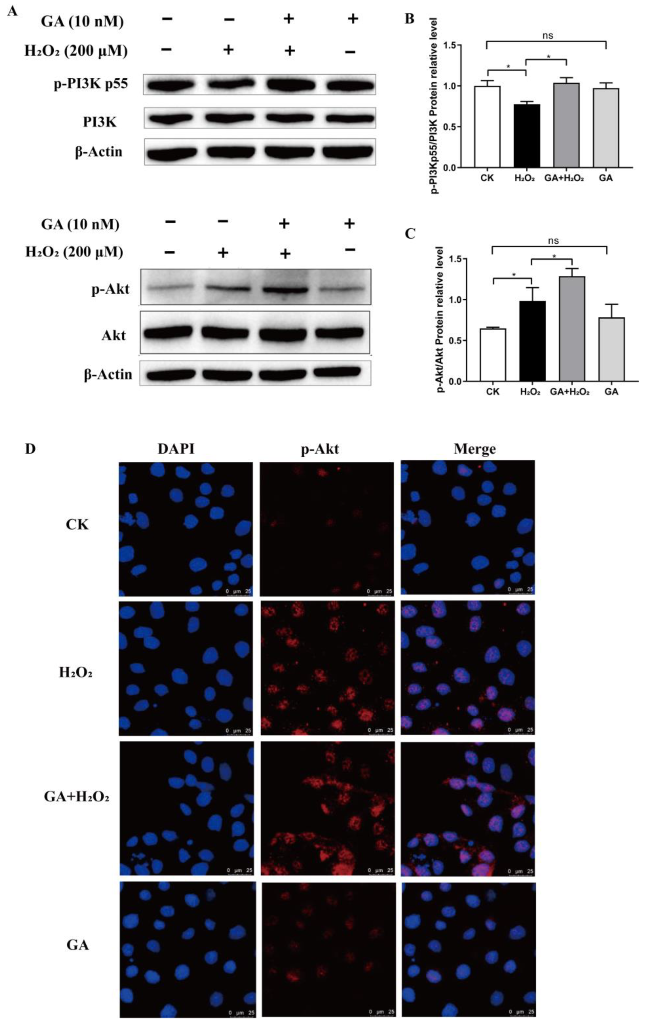 Antioxidants 13 00468 g005
