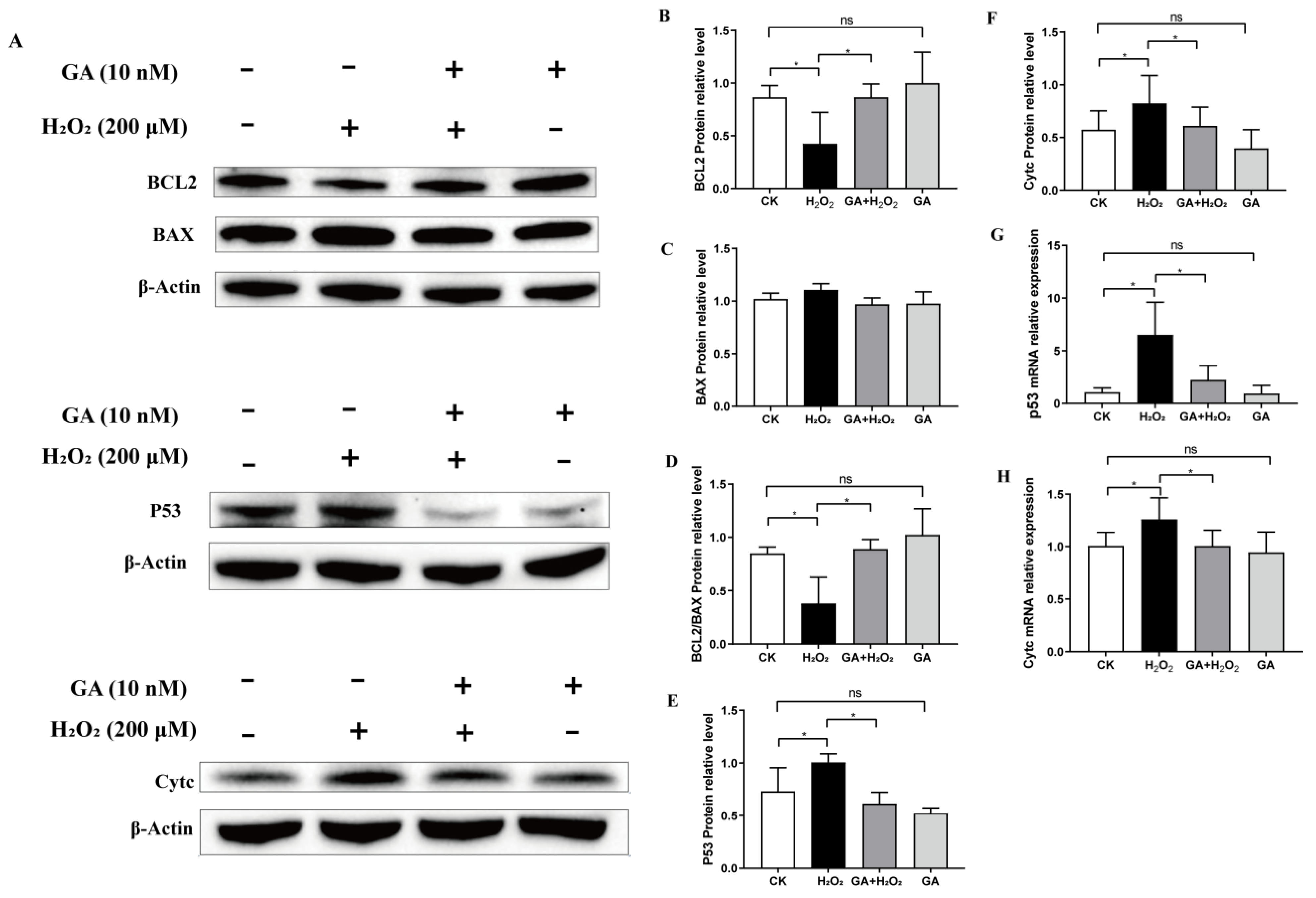 Antioxidants 13 00468 g006