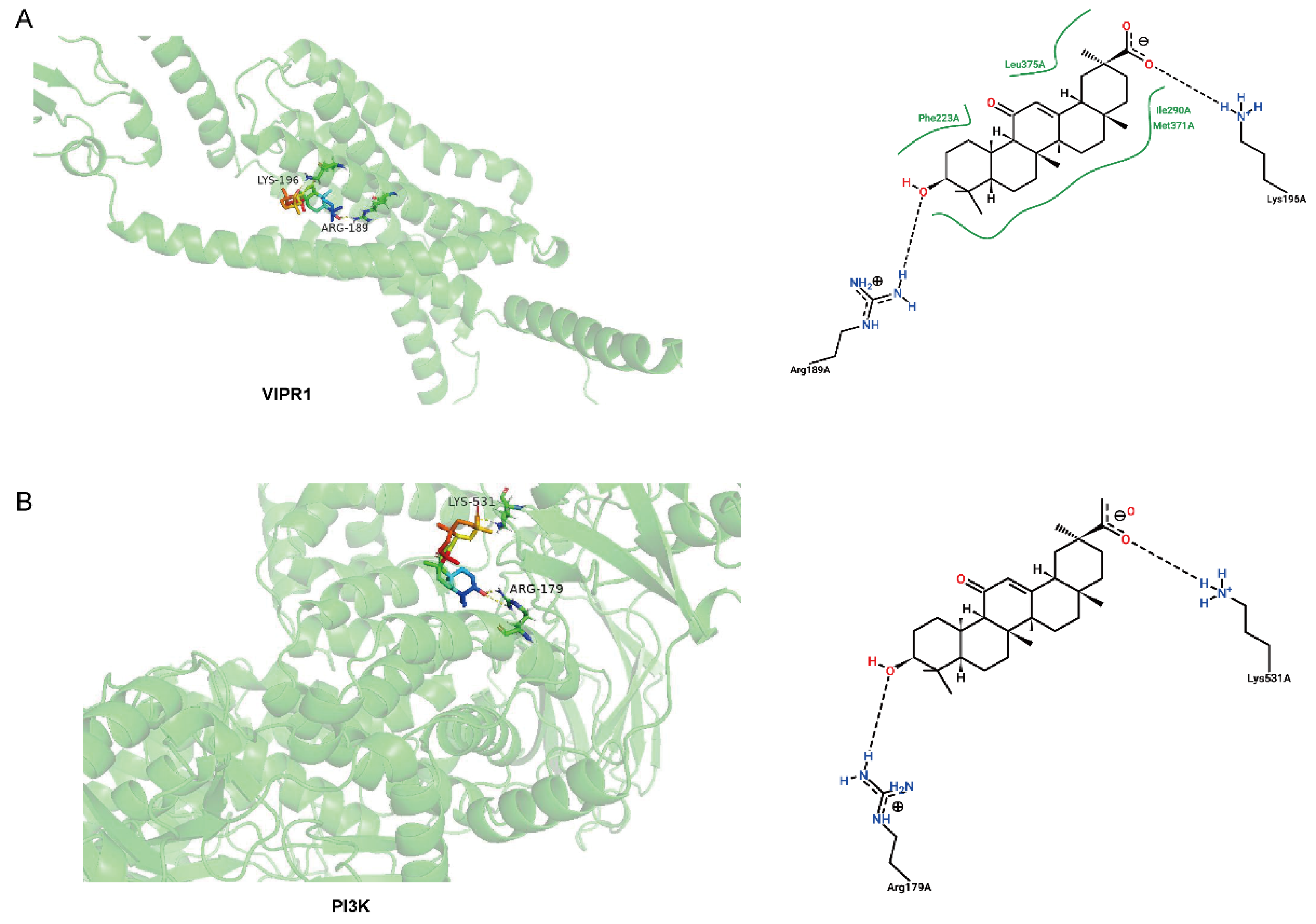 Antioxidants 13 00468 g007