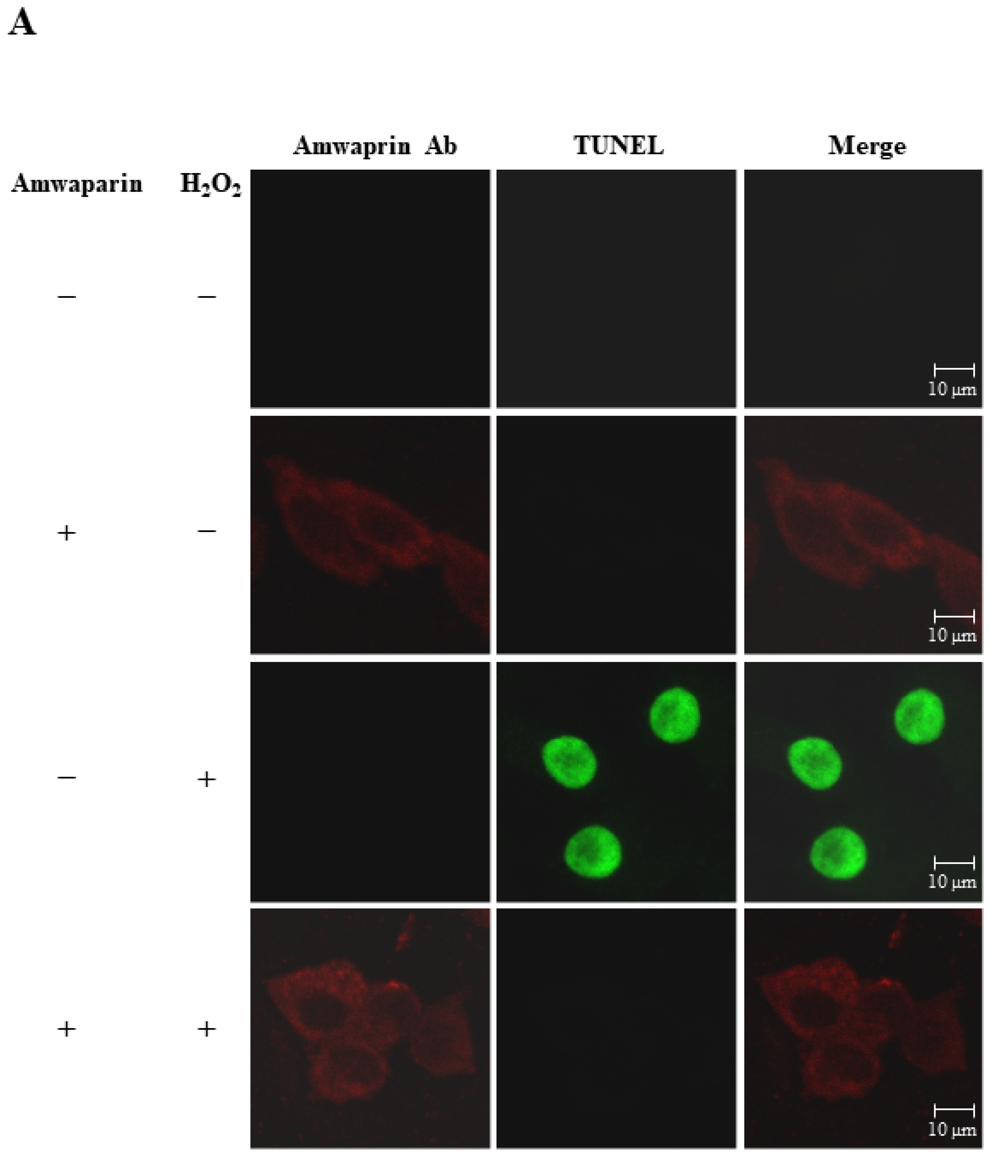 Antioxidants 13 00469 g006a