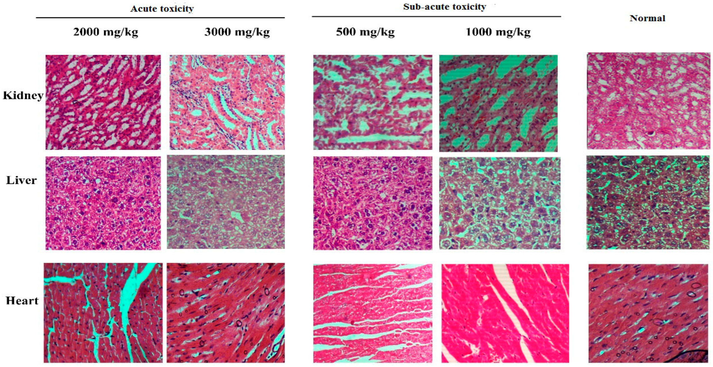 Antioxidants 13 00471 g002