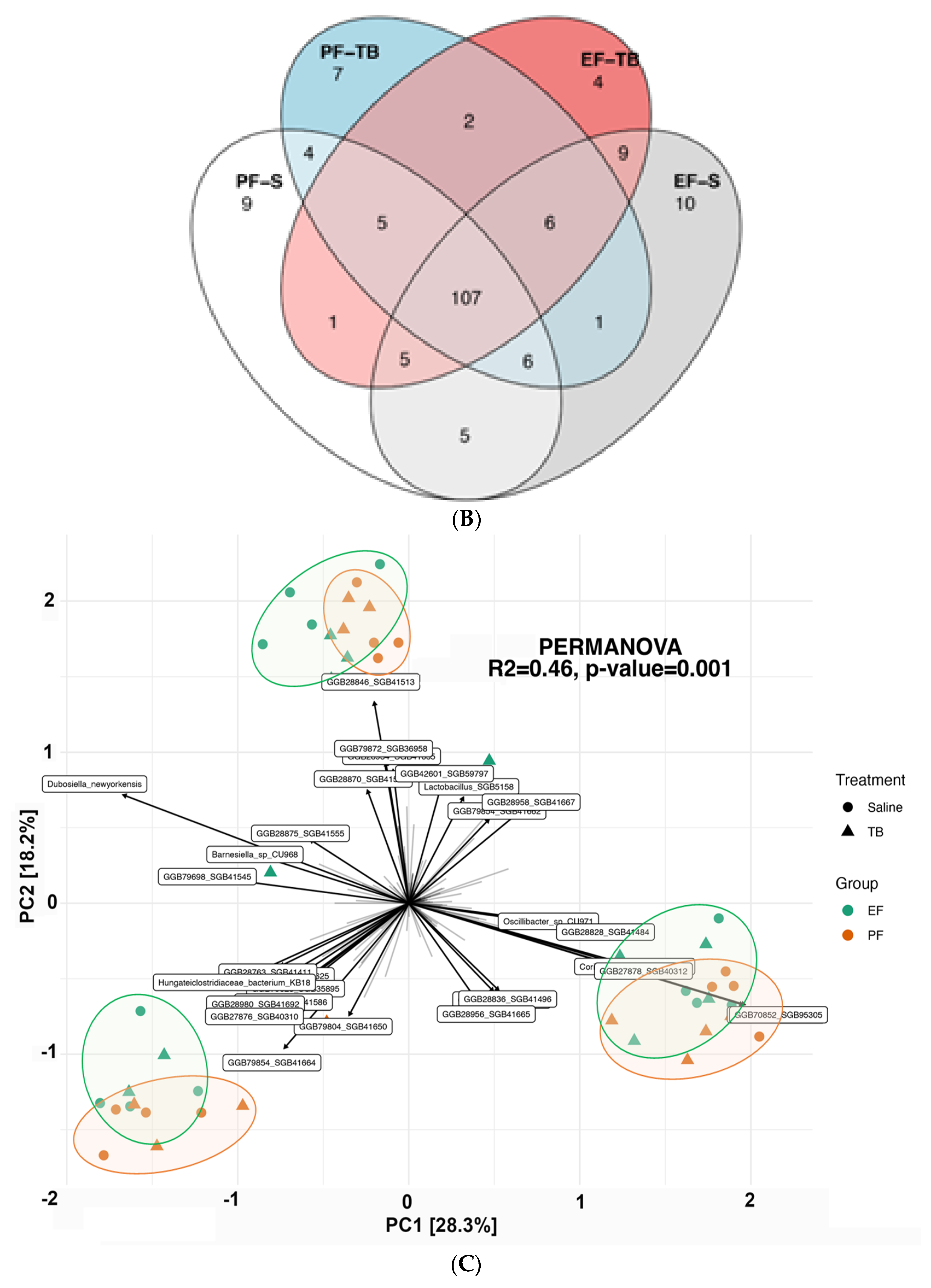 Antioxidants 13 00472 g001b
