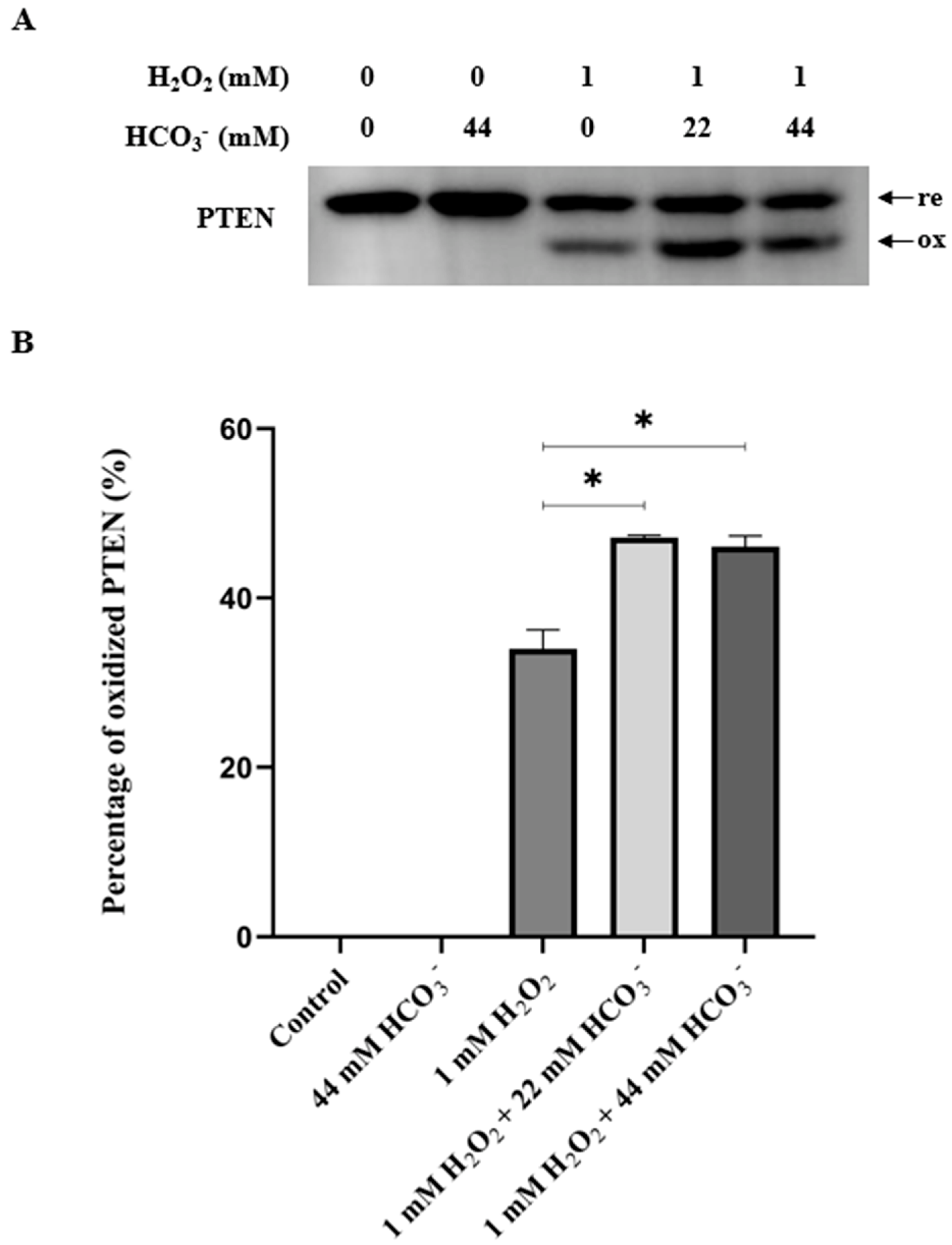 Antioxidants 13 00473 g002