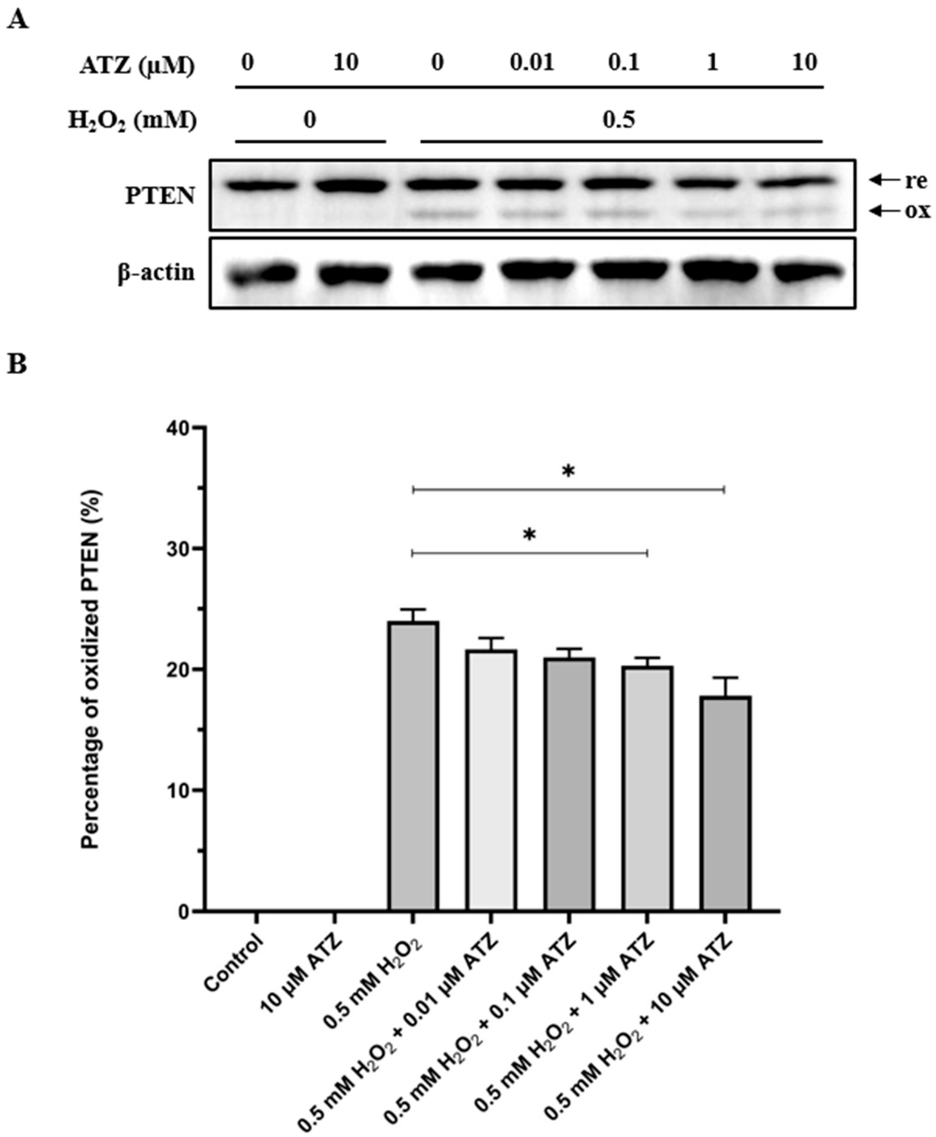 Antioxidants 13 00473 g005