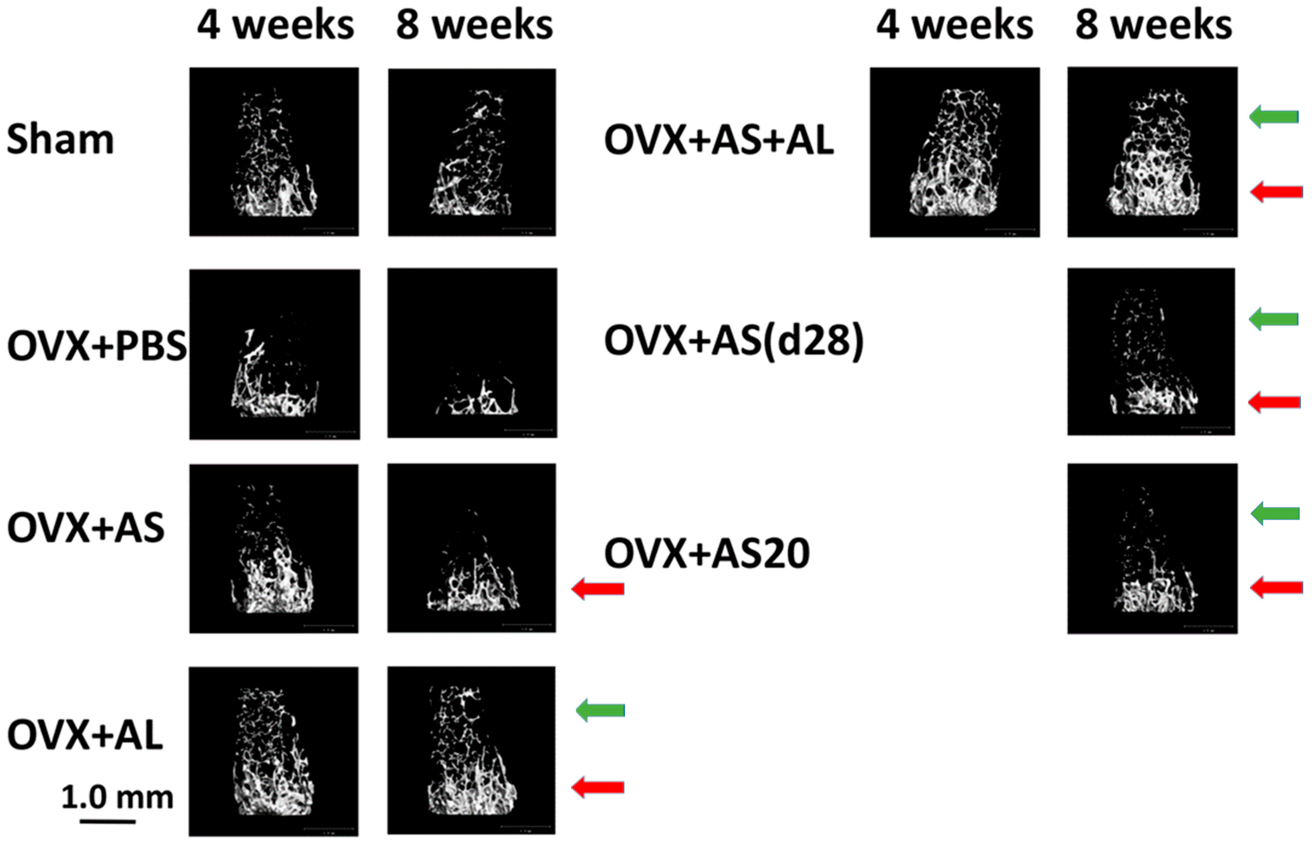 Antioxidants 13 00474 g004