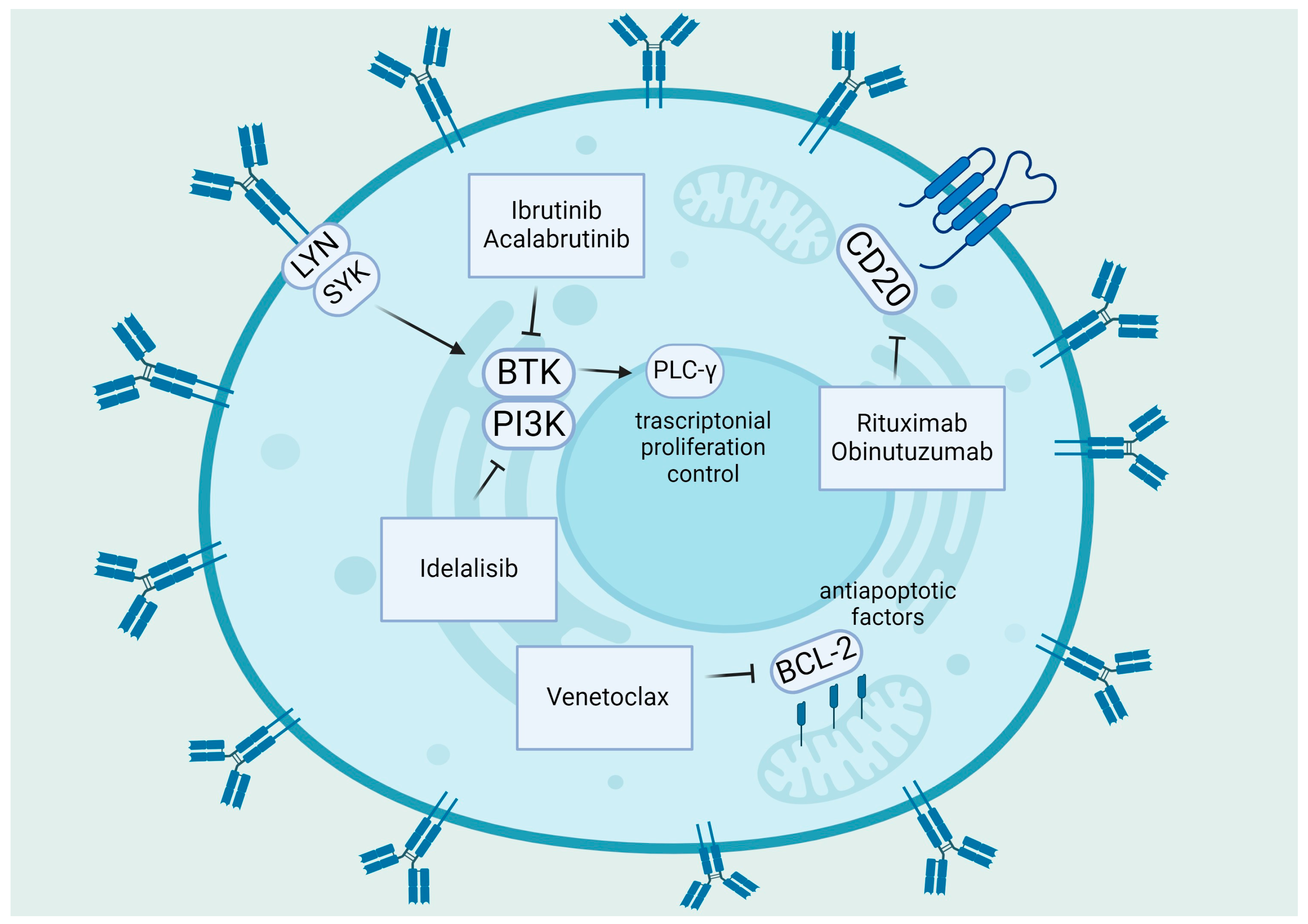 Antioxidants 13 00475 g001