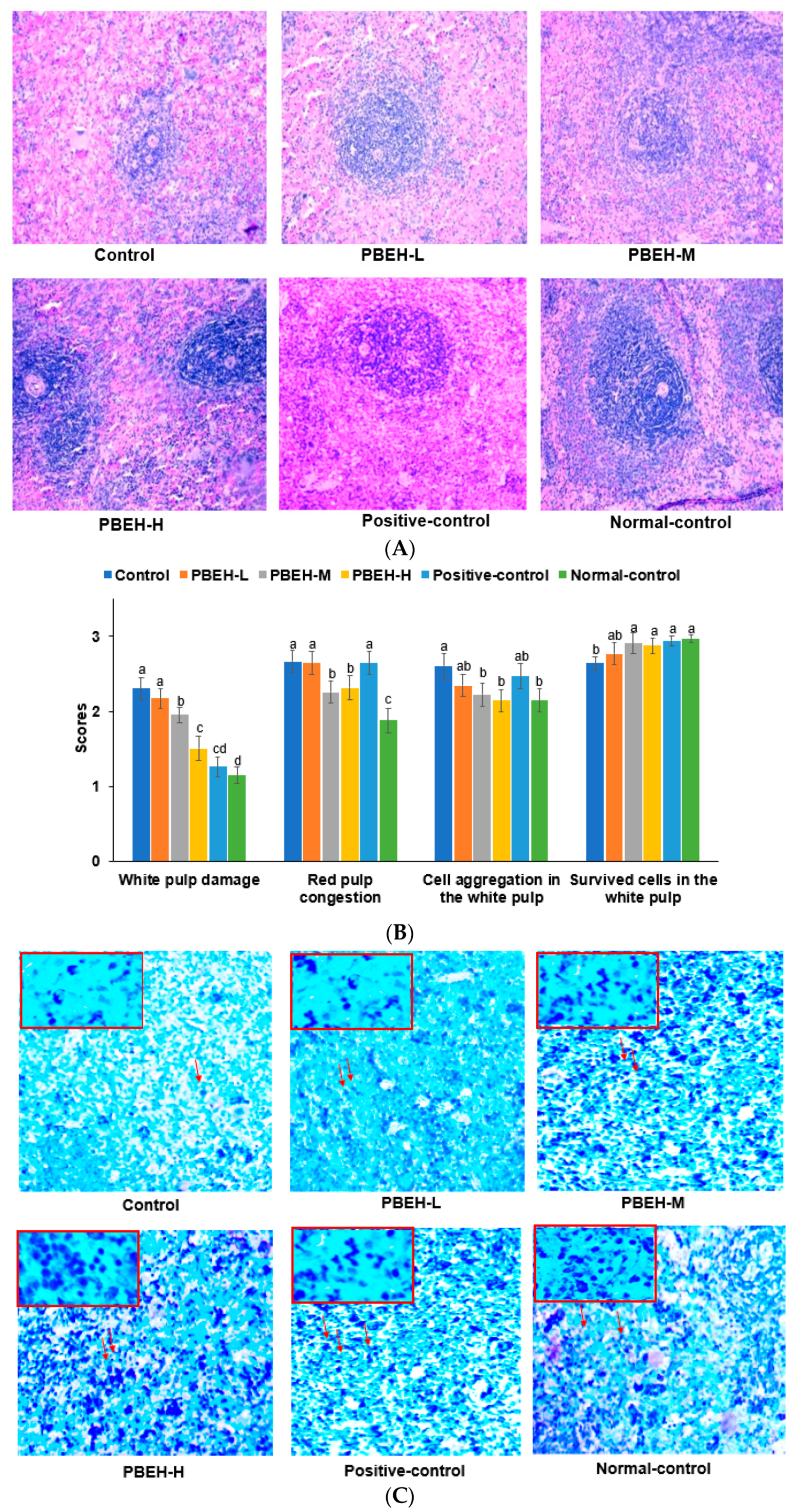 Antioxidants 13 00476 g001a