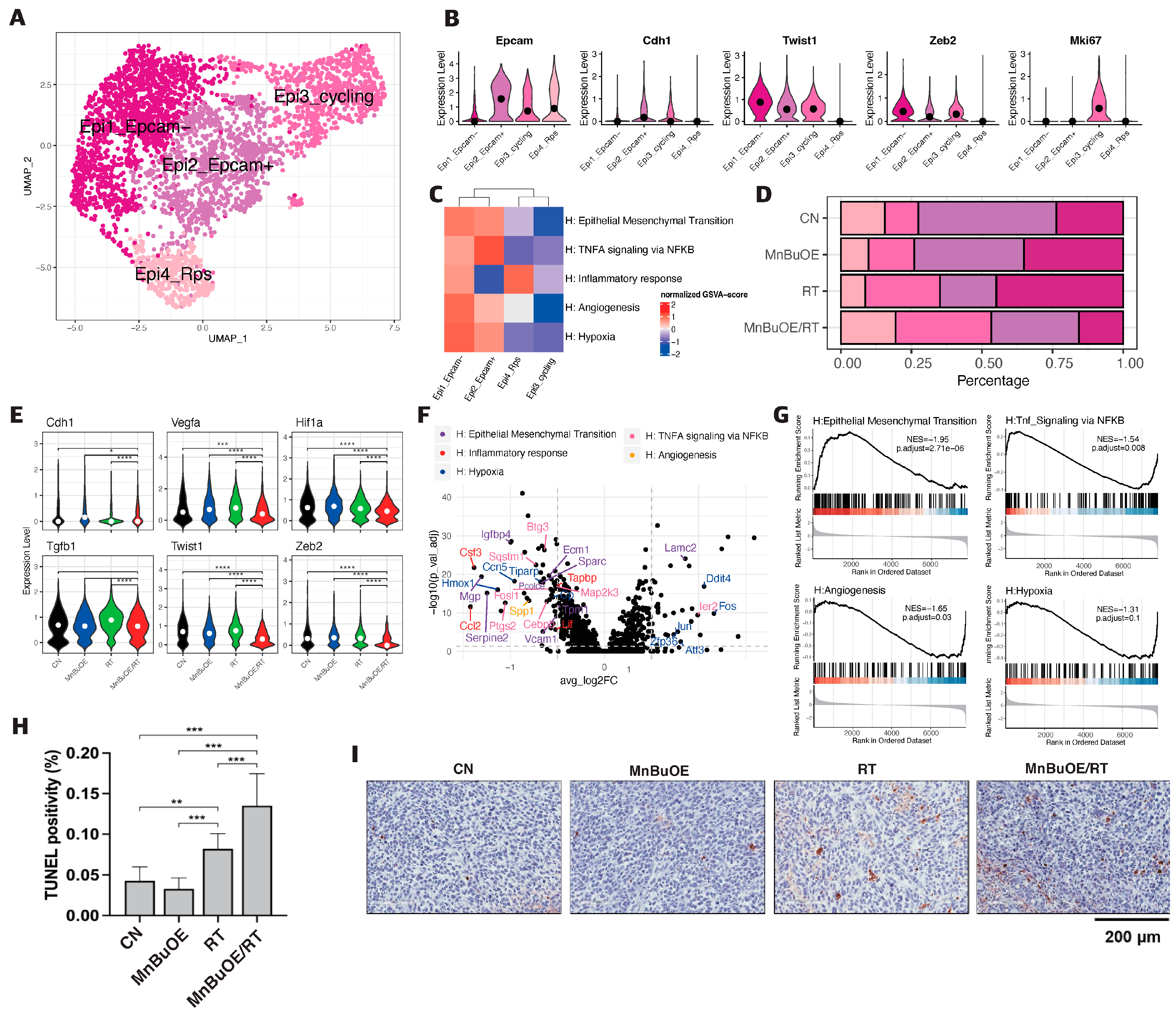 Antioxidants 13 00477 g002