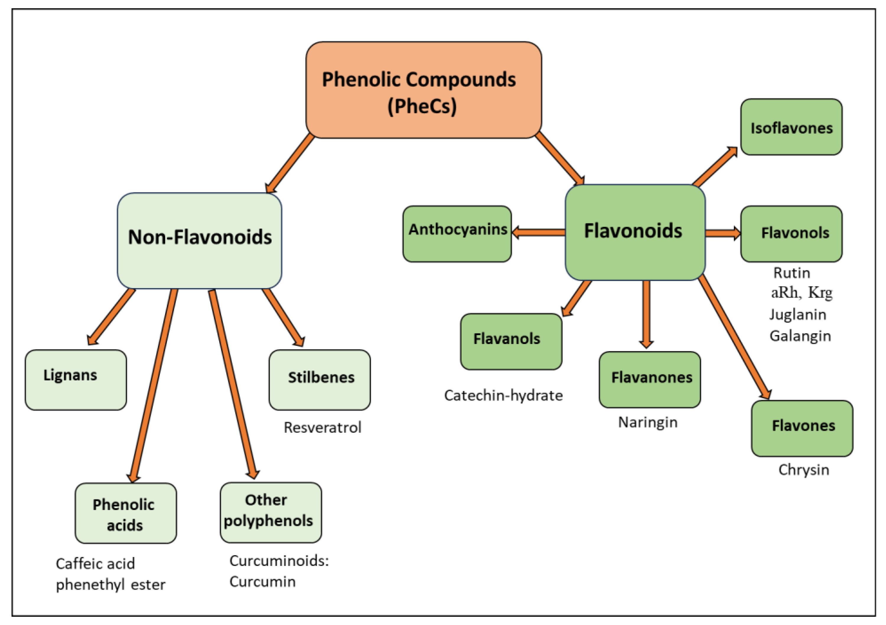 Antioxidants 13 00486 g003